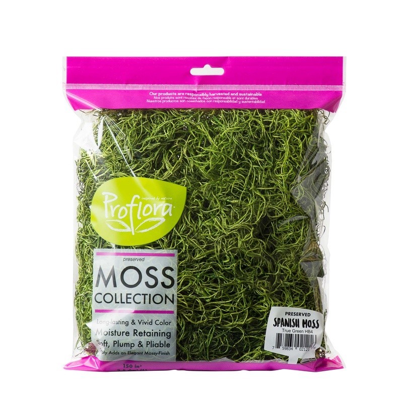 True Green Preserved Spanish Moss Garden Crafting Floral Supplies Pet Friendly
