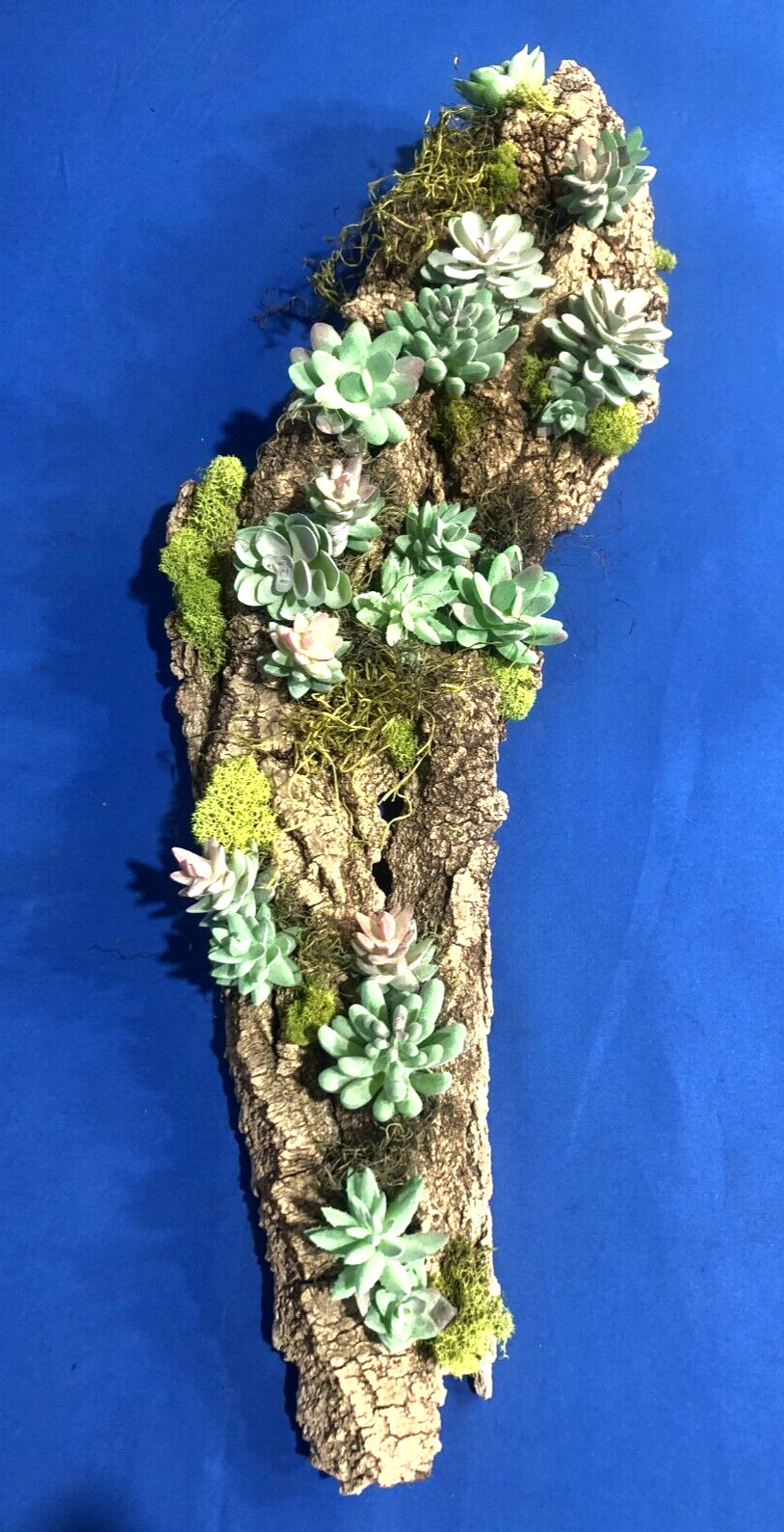 Artificial Succulent Air Plant Wall Art Home Office Mounted on Real Wood Bark