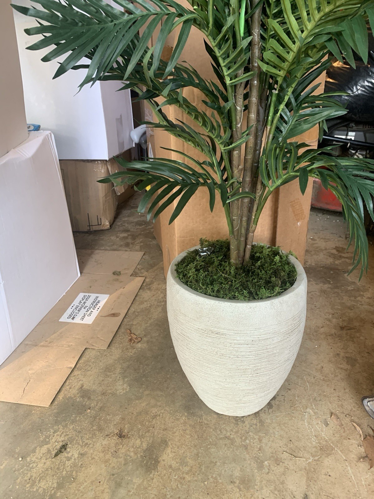 Indoor 4ft, Paradise Palm Artificial Tree in Sand Colored Planter