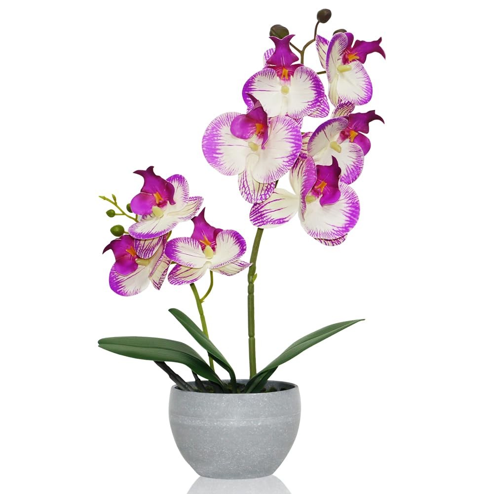 Purple Orchid Artificial Flowers 2 Stems in Grey Pot, Potted Faux Orchid Flow…