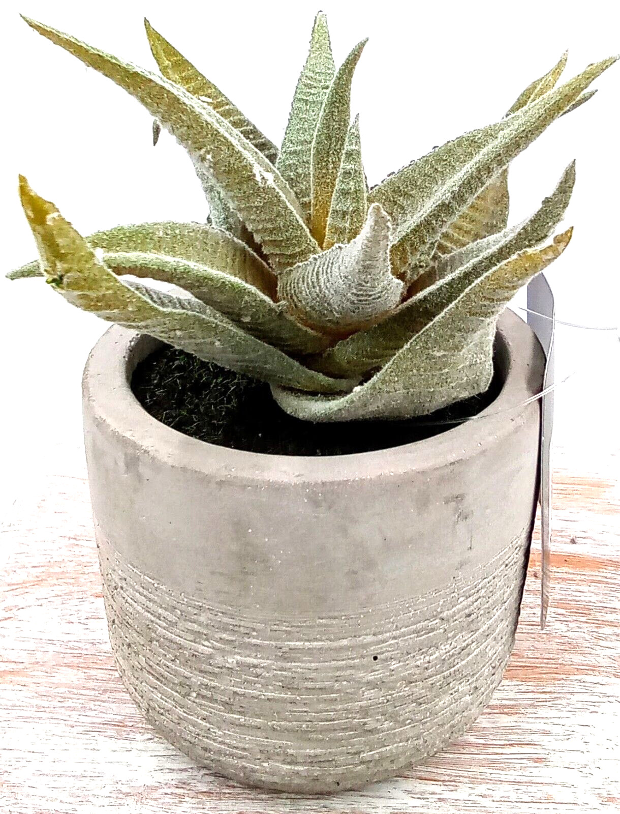 Aloe Succulent Cement Pot Planter Gray Green Artificial Plastic Foam Floral 4.5″