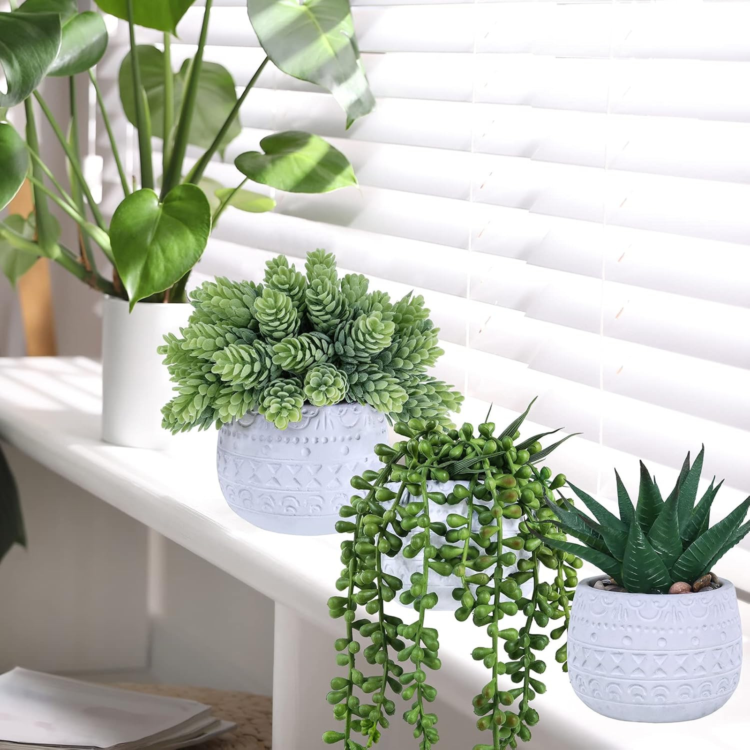 3 Pcs Assorted Small Potted Succulent Plants Artificial Aloe Hanging Succulent i