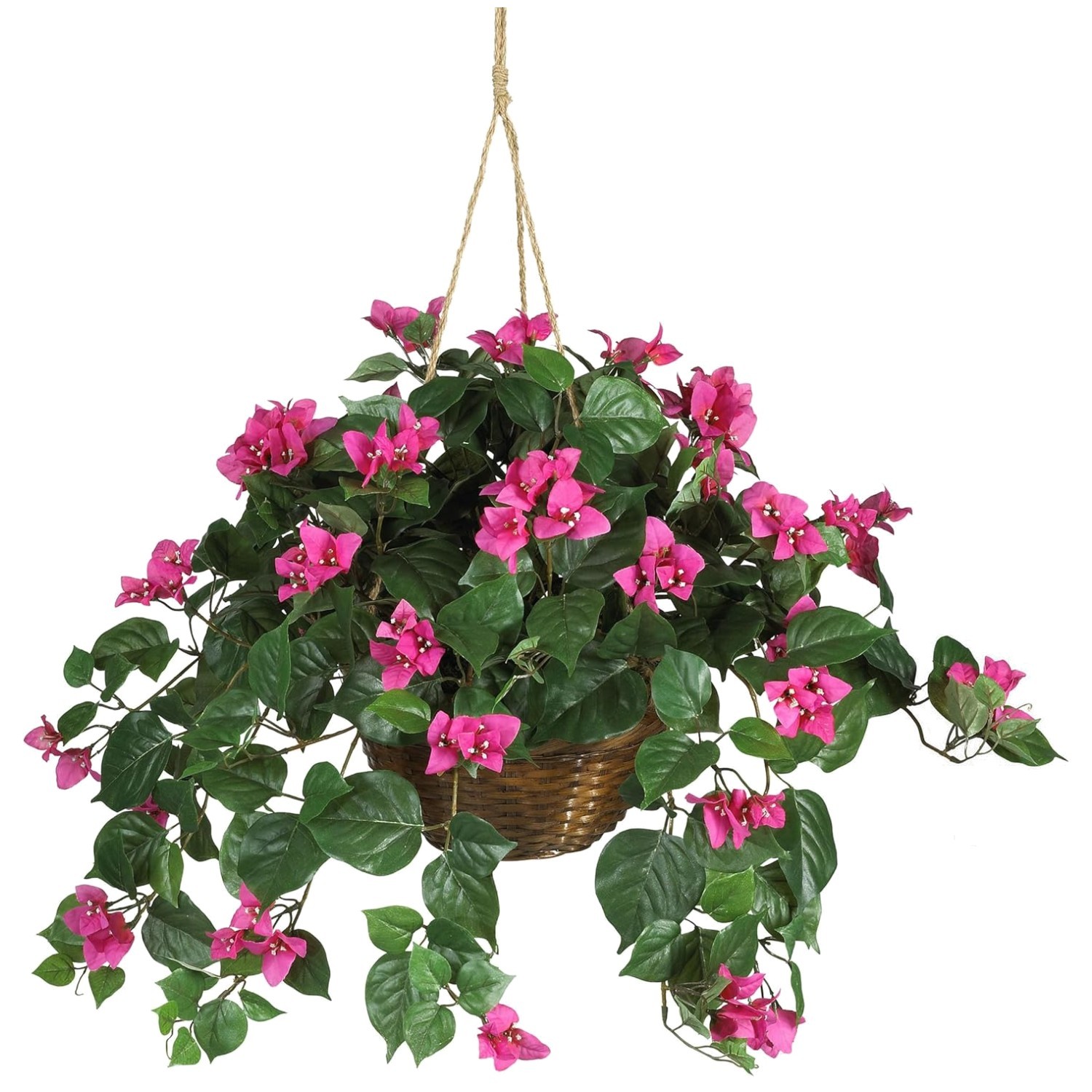 South American Bougainvillea in Wicker Basket – Indoor Decor