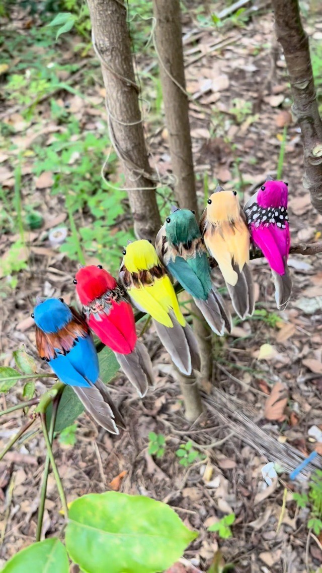 NEW 12pcs Feathered Artificial Birds with Clips for Christmas Tree Wreath