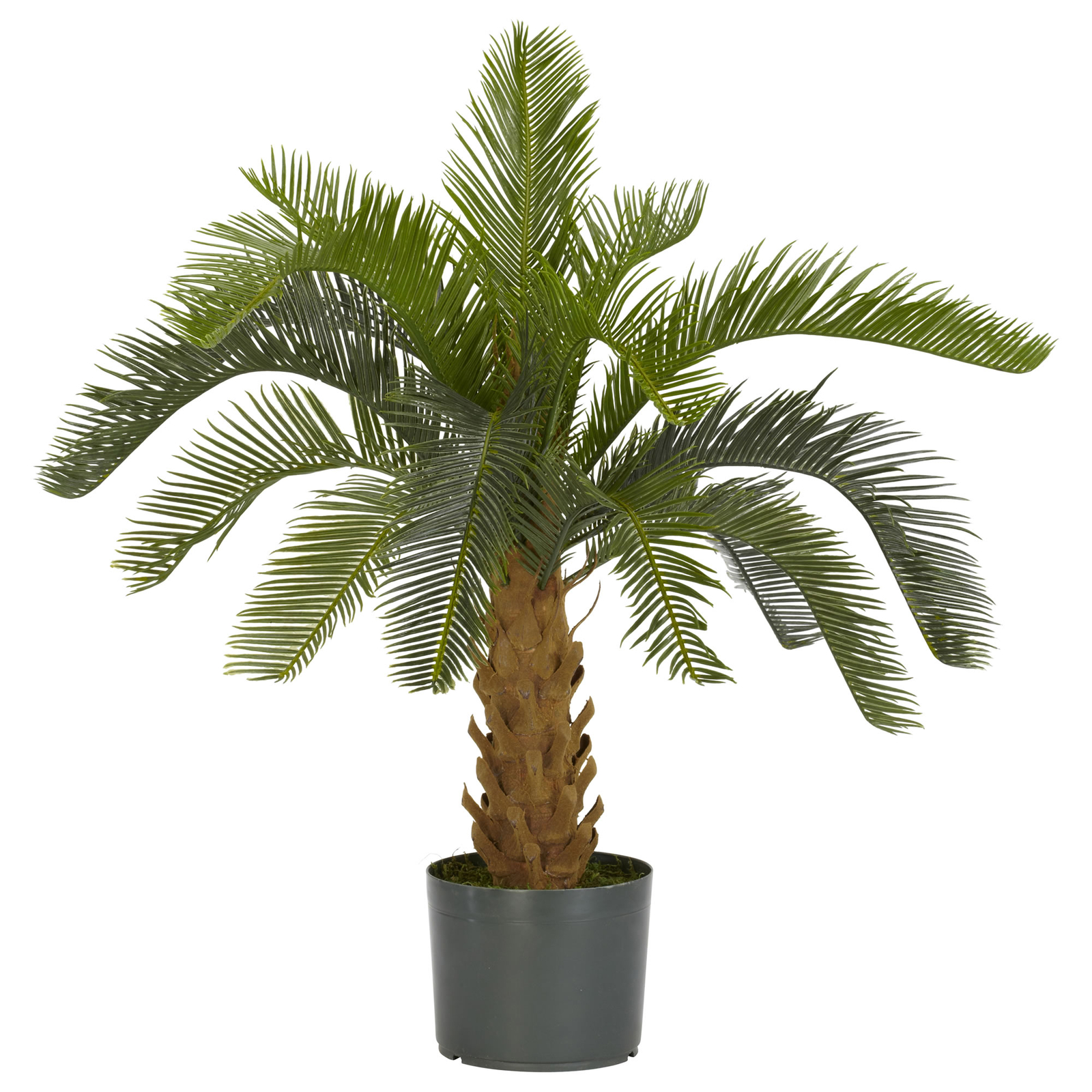 Cycas Silk Plant w/Brown Foam Trunk 16 Long Leaves Cascade Nearly Natural Decor