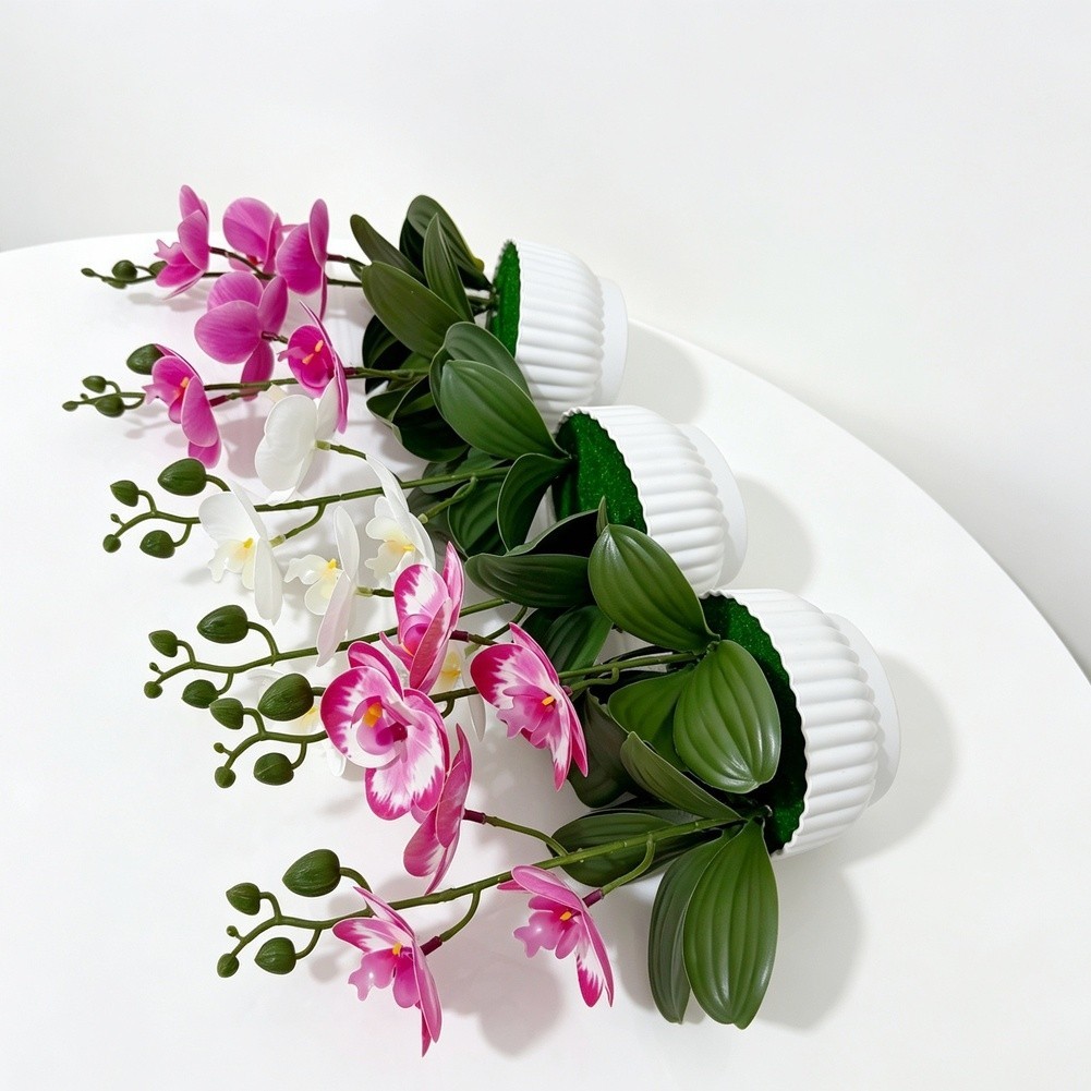 Imitation Orchid Plant with 6 Blooms 6 Leaves in Pot 26cm Indoor Decor