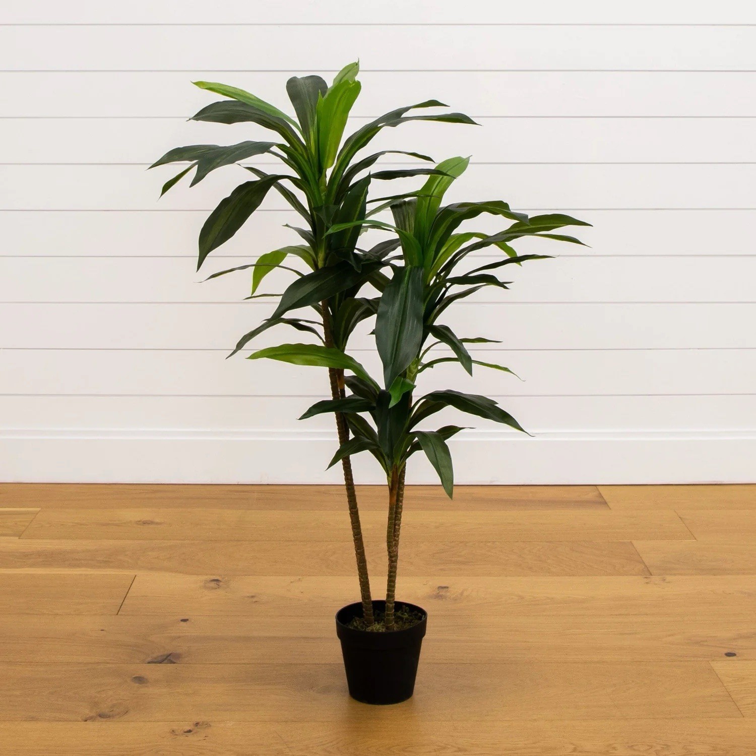 4’ Artificial Dracaena Tree