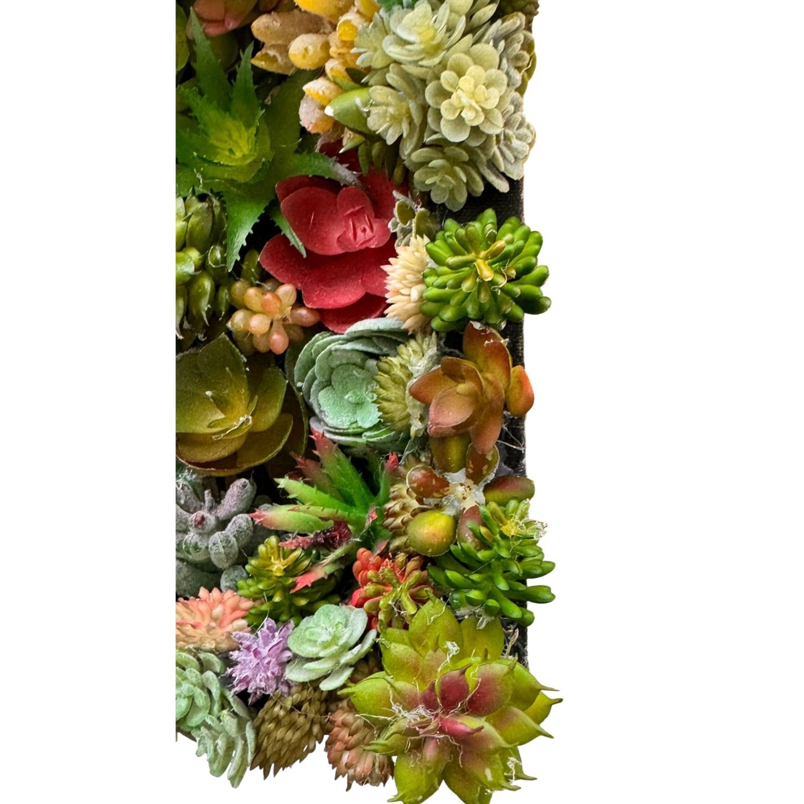 Succulent Wall Art Boho Faux Botanical Decor 8x8x2