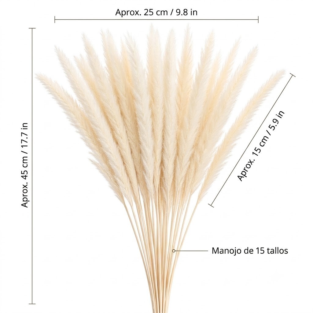 Dried Pampas Grass 15 Stems Natural White Fluffy Reed Home Wedding Decor