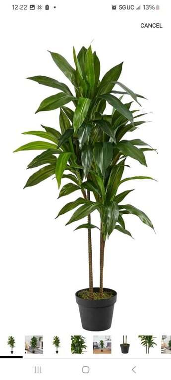 Natural 48″ Dracaena Silk Plant (Real Touch) Green