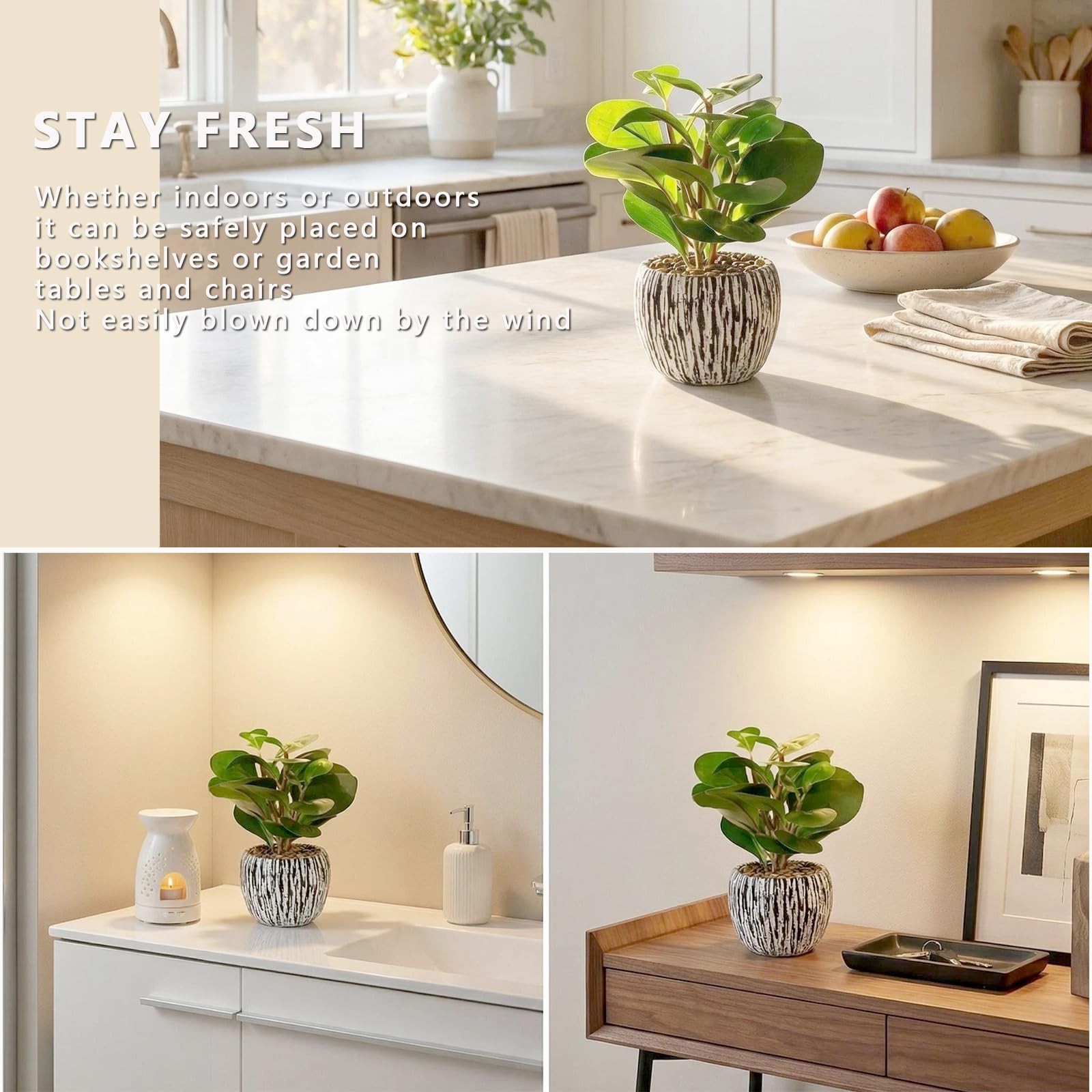 Realistic Small Fake Indoor Plant Artificial Ficus Black Cement Planter 9 Inch
