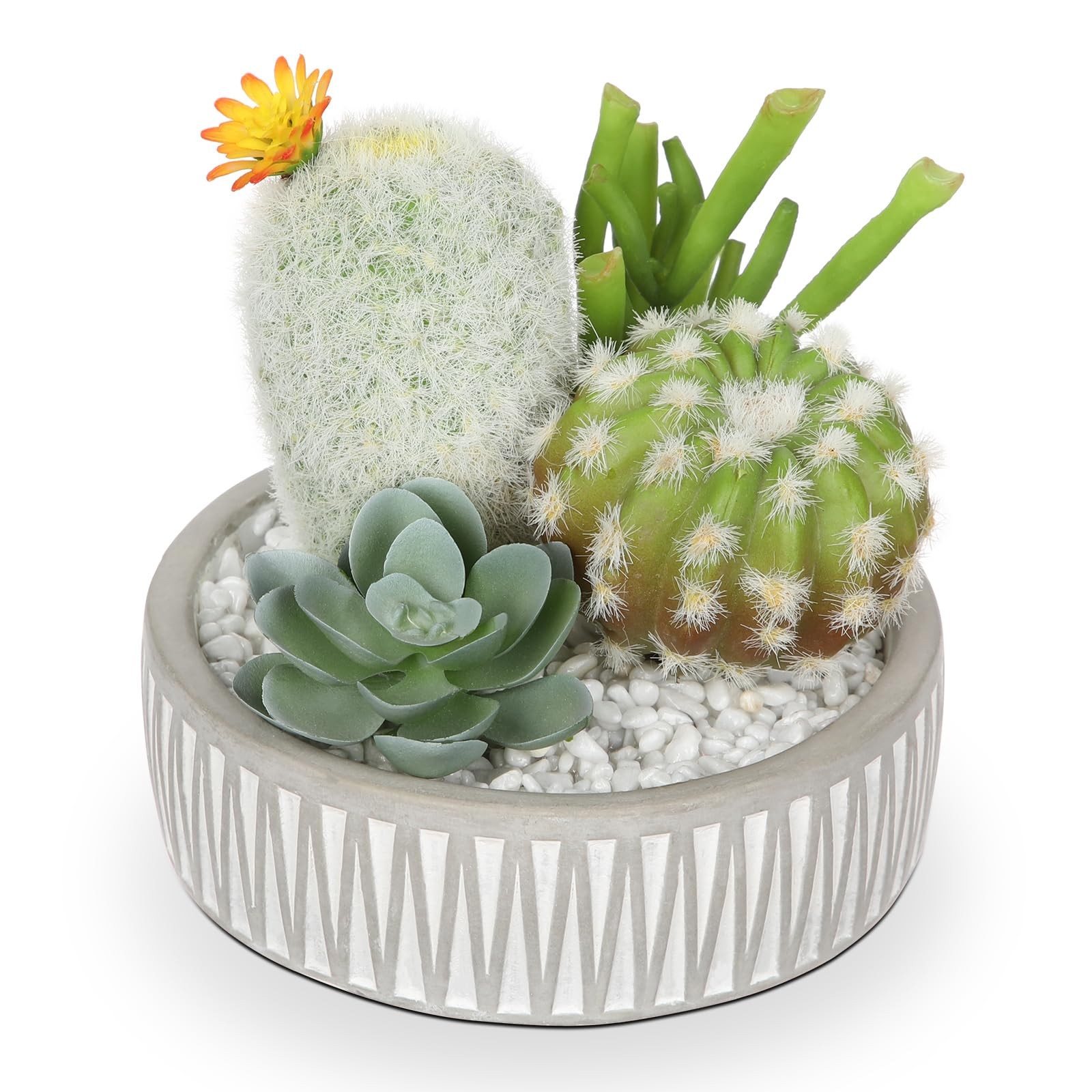 Artificial Cactus Plants Indoor, 5.5″ Assorted Small Faux Succulent in Pots F…