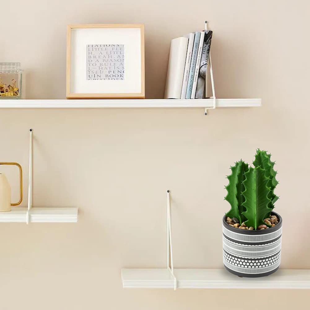 Artificial Cactus Plant Realistic Mini Faux Succulents in Pots Black Ceramic …