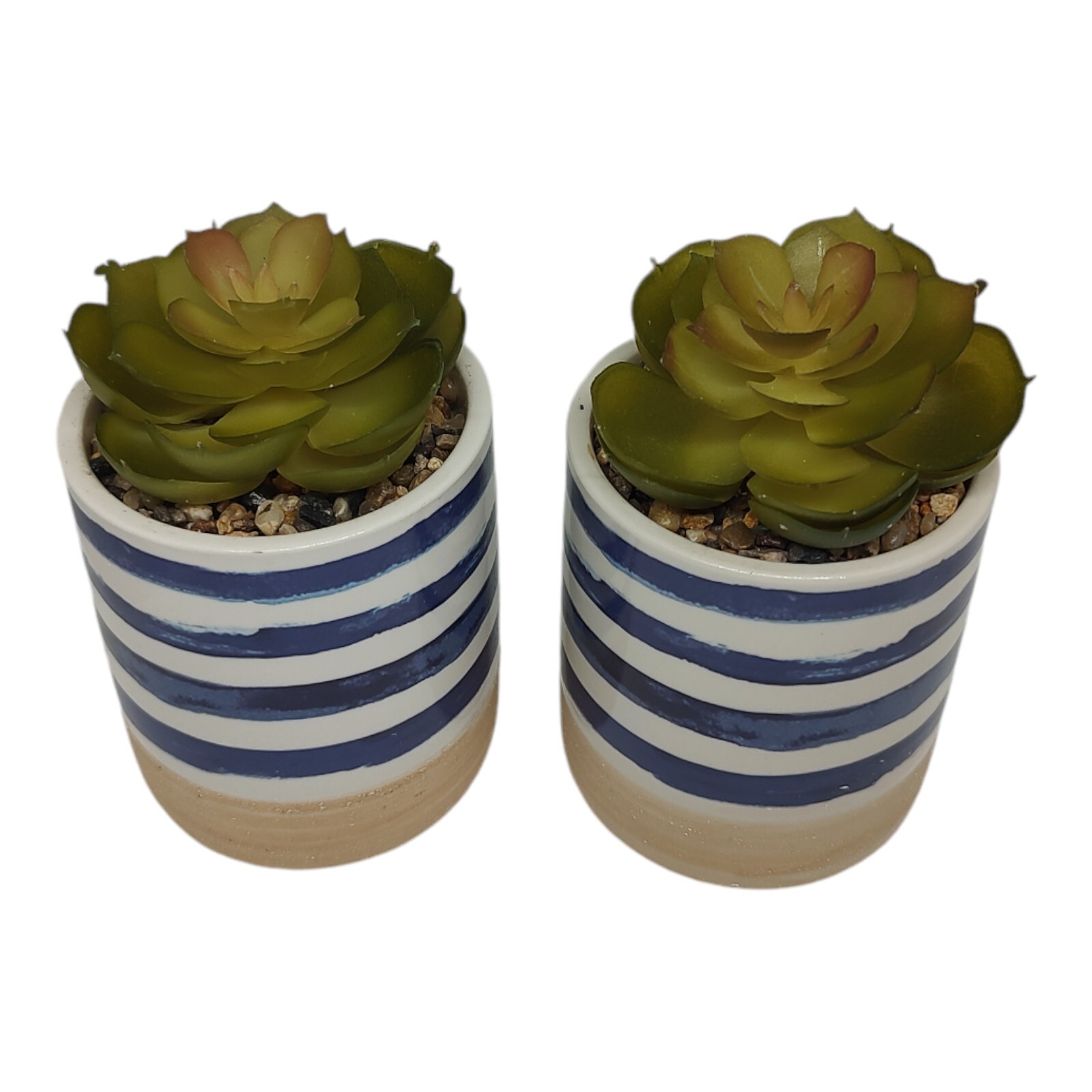Set of 2 Faux Succulents In Ceramic Pots Rustic Coastal Small Artificial Plants