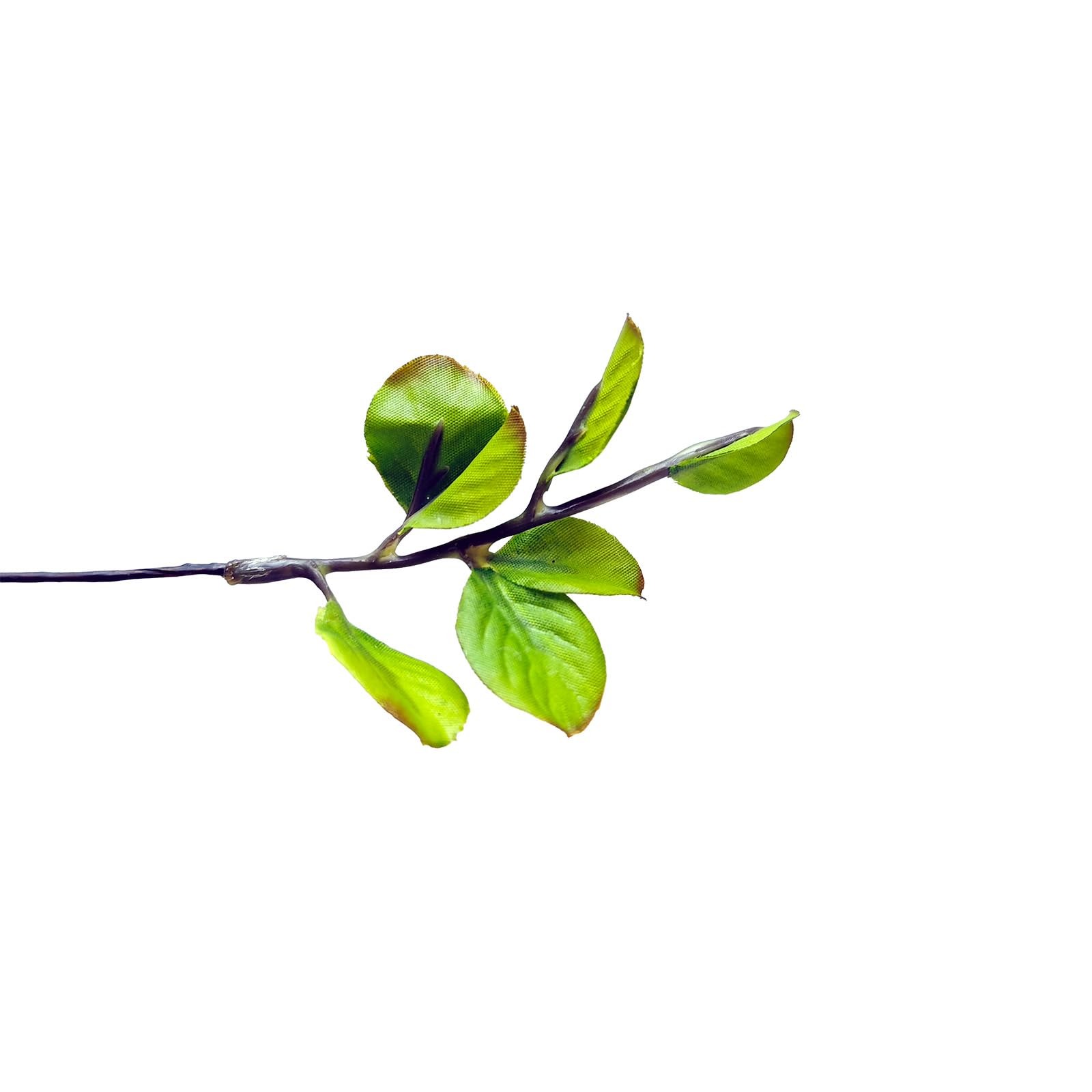 5 Pcs 22 Inches Greenery Stems for Vase, Faux Eucalyptus | Olive| Ficus Branc…