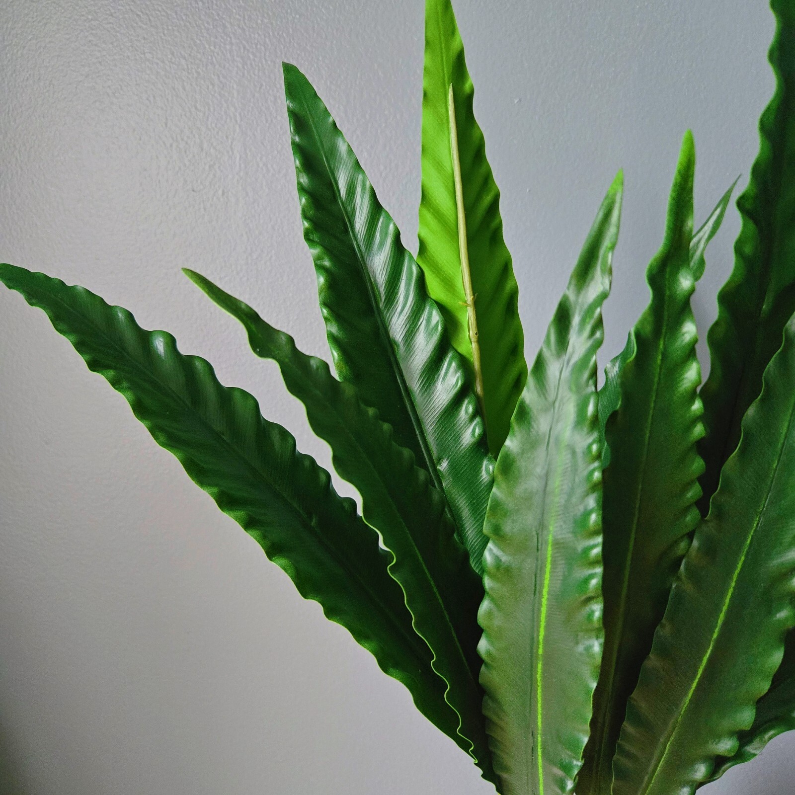 12-stems /29″ Artificial Bird’s Nest Fern Asplenium for Indoor and outdoor decor