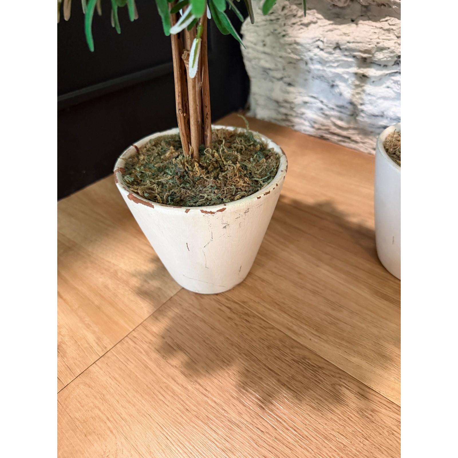 Set of 2 Artificial Olive Topiary Trees in Distressed White Pots 20 Inch Green