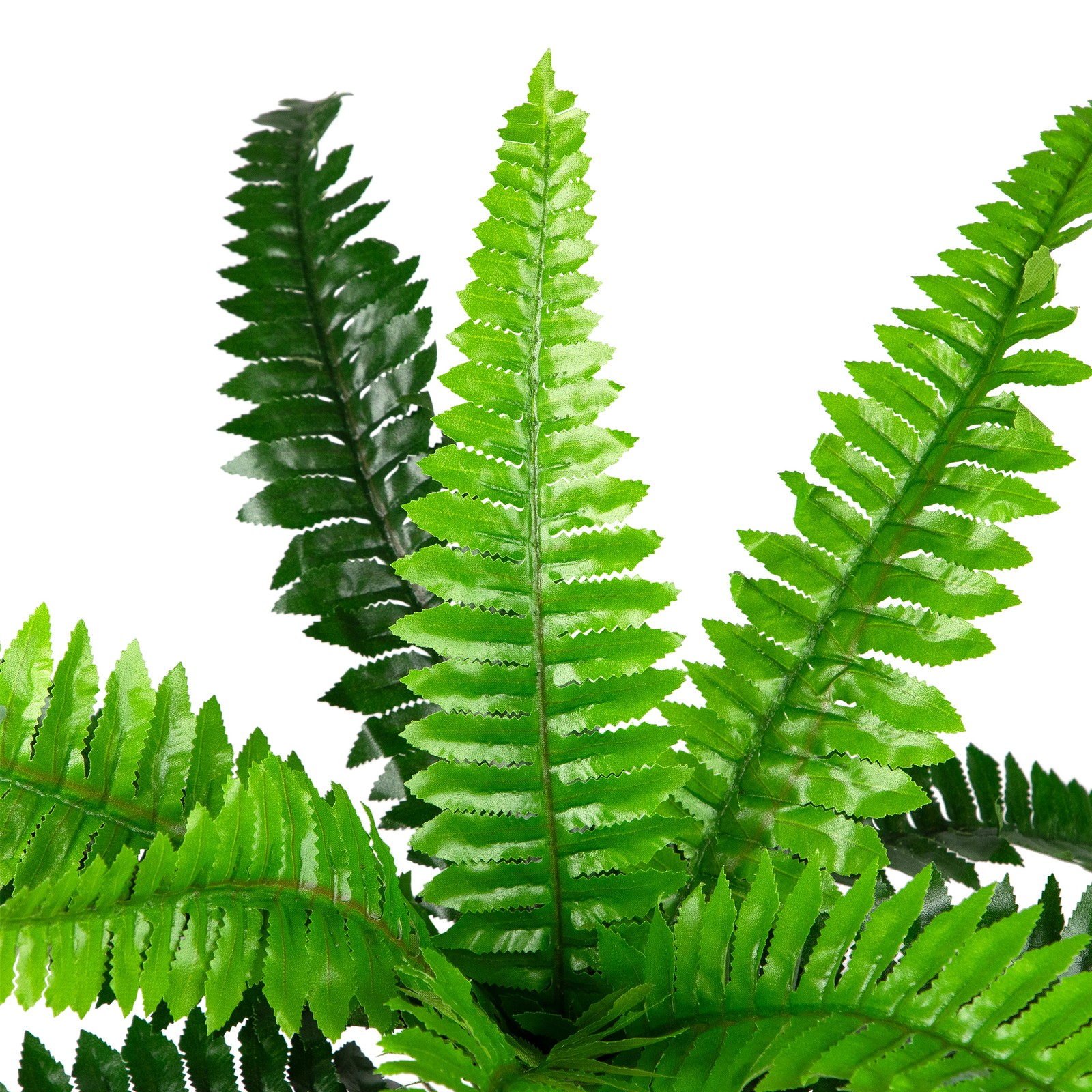 Northlight 15.75″ Potted Artificial Long Green Boston Fern Plant