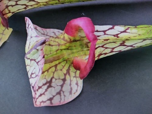 23″ ARTIFICIAL Pitcher Plant Stems real touch three stems