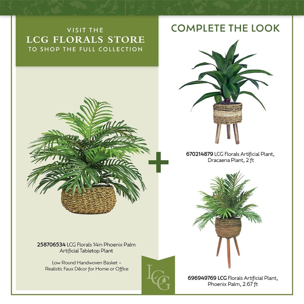 14″ Artificial Palm Plant in Low Round Handwoven Basket by LCG Florals