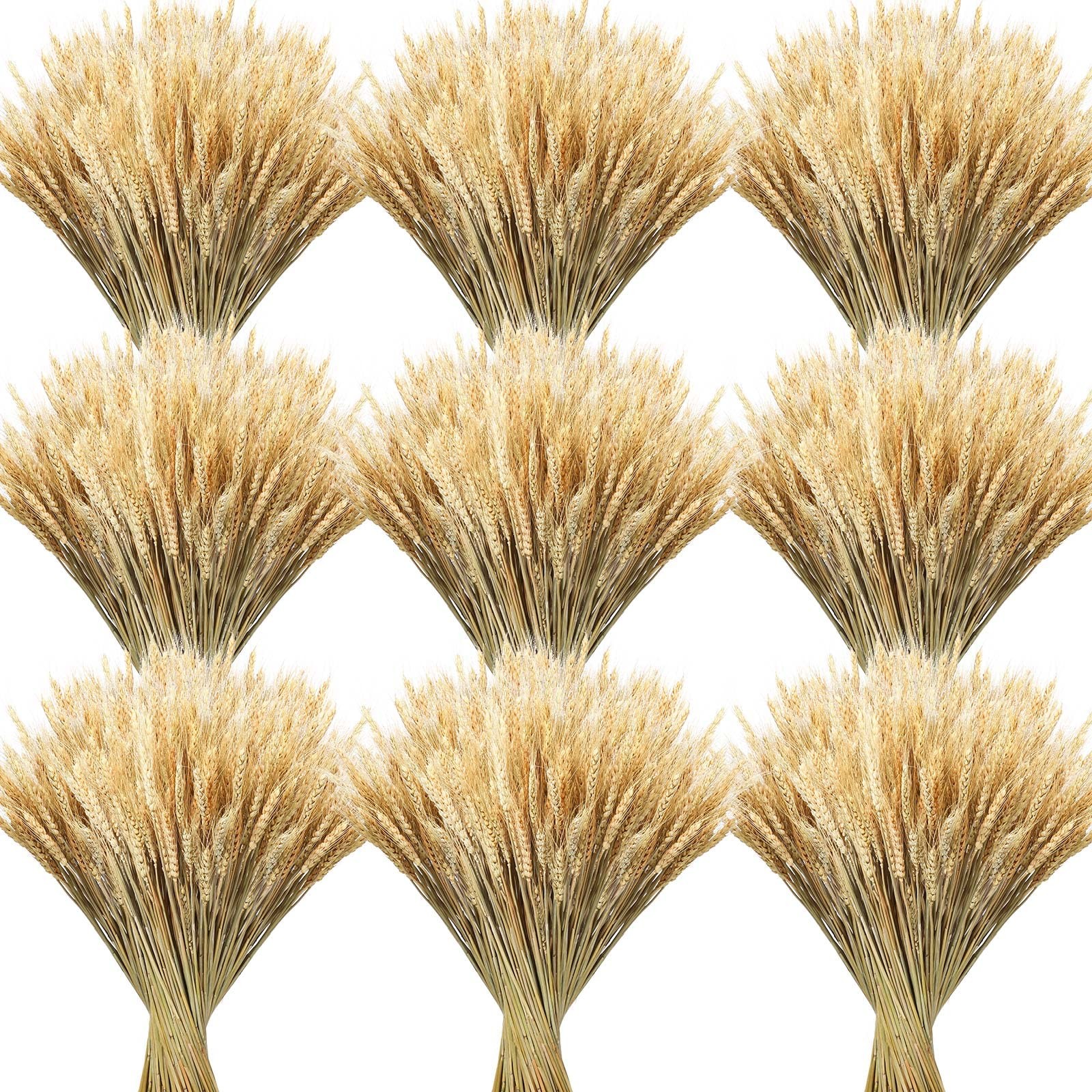 600 Pcs 16 Inch Natural Dried Wheat Stalks with Stems Dried Wheat Sheaves