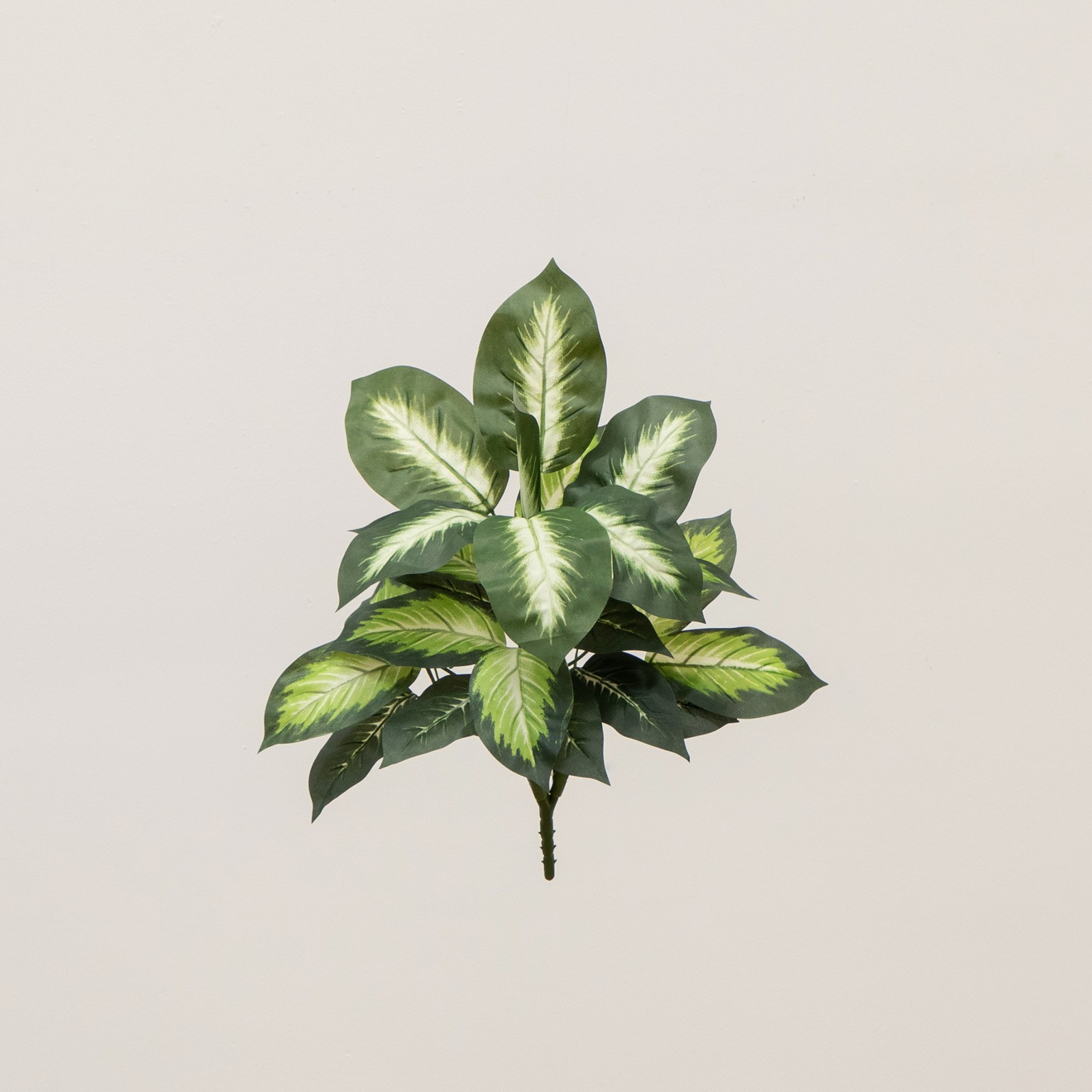 Nearly Natural 20″ Artificial Golden Dieffenbachia Plant – Set of 6 in Green