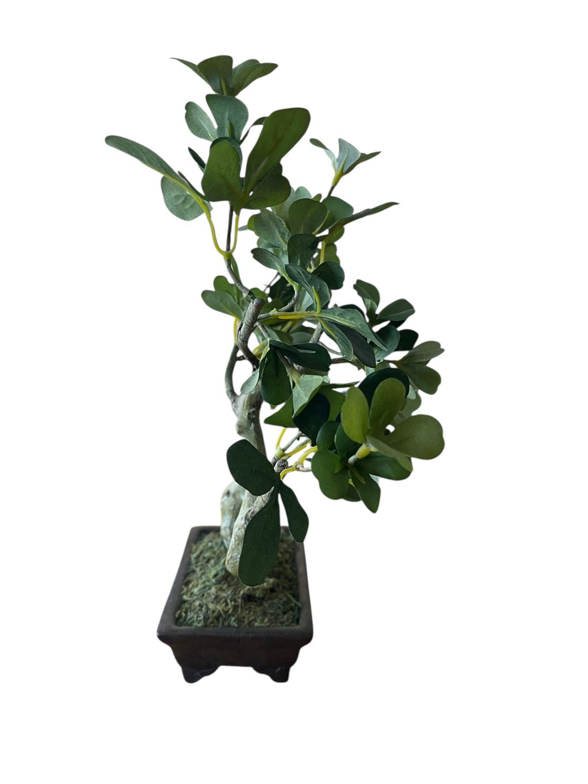 Artificial Penny Green Leaf Bonsai 11” Tree In Ceramic Pot Office Decoration