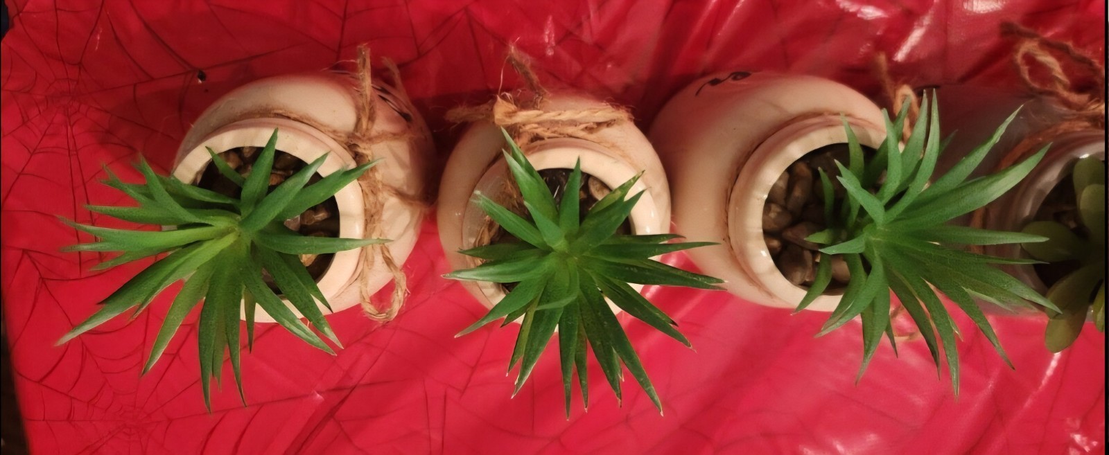 5 Pc Faux Plant “Live And Laugh” Set