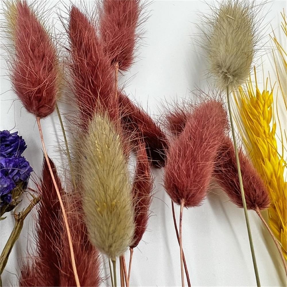 Pemberly Row 10-inch High Real Preserved Mixed Bouquets in Small Size