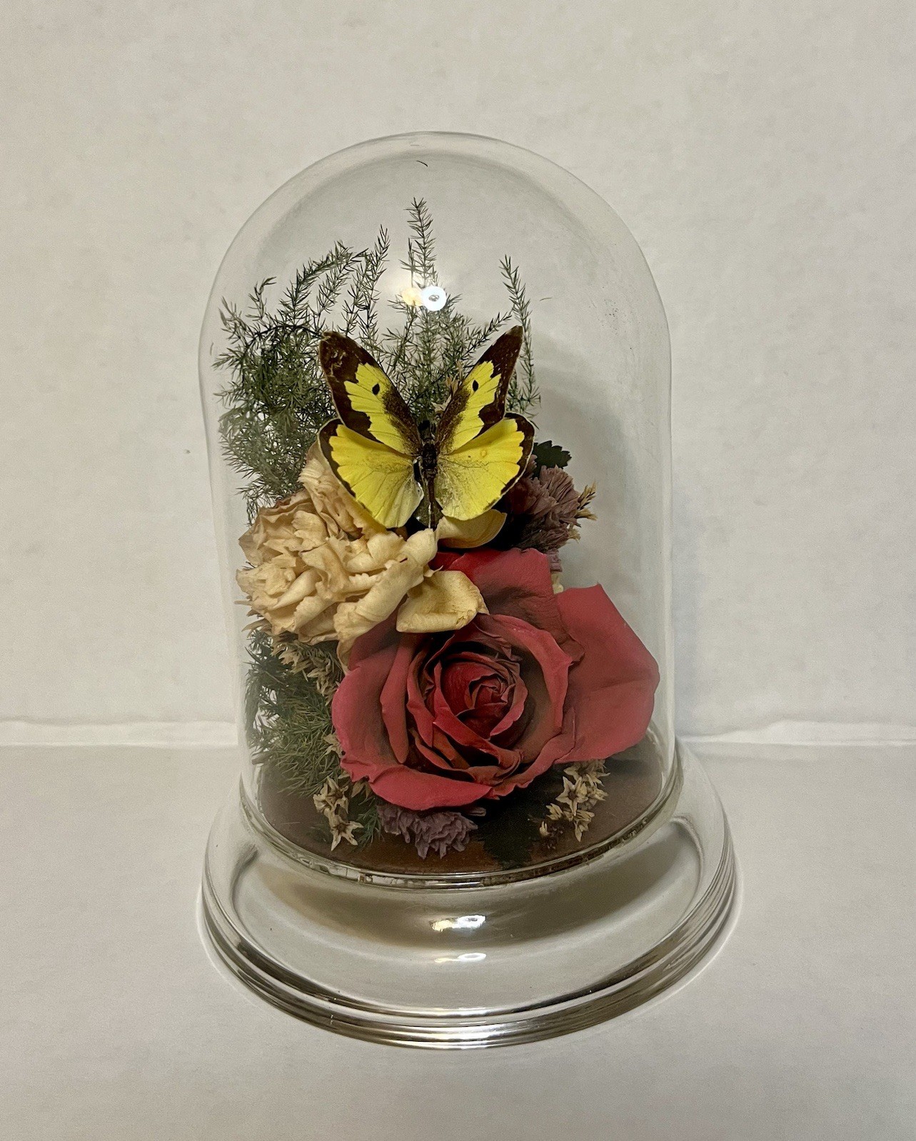 Vintage 90s Natural Expressions Dried Roses Butterfly Glass Terrarium Grannycore