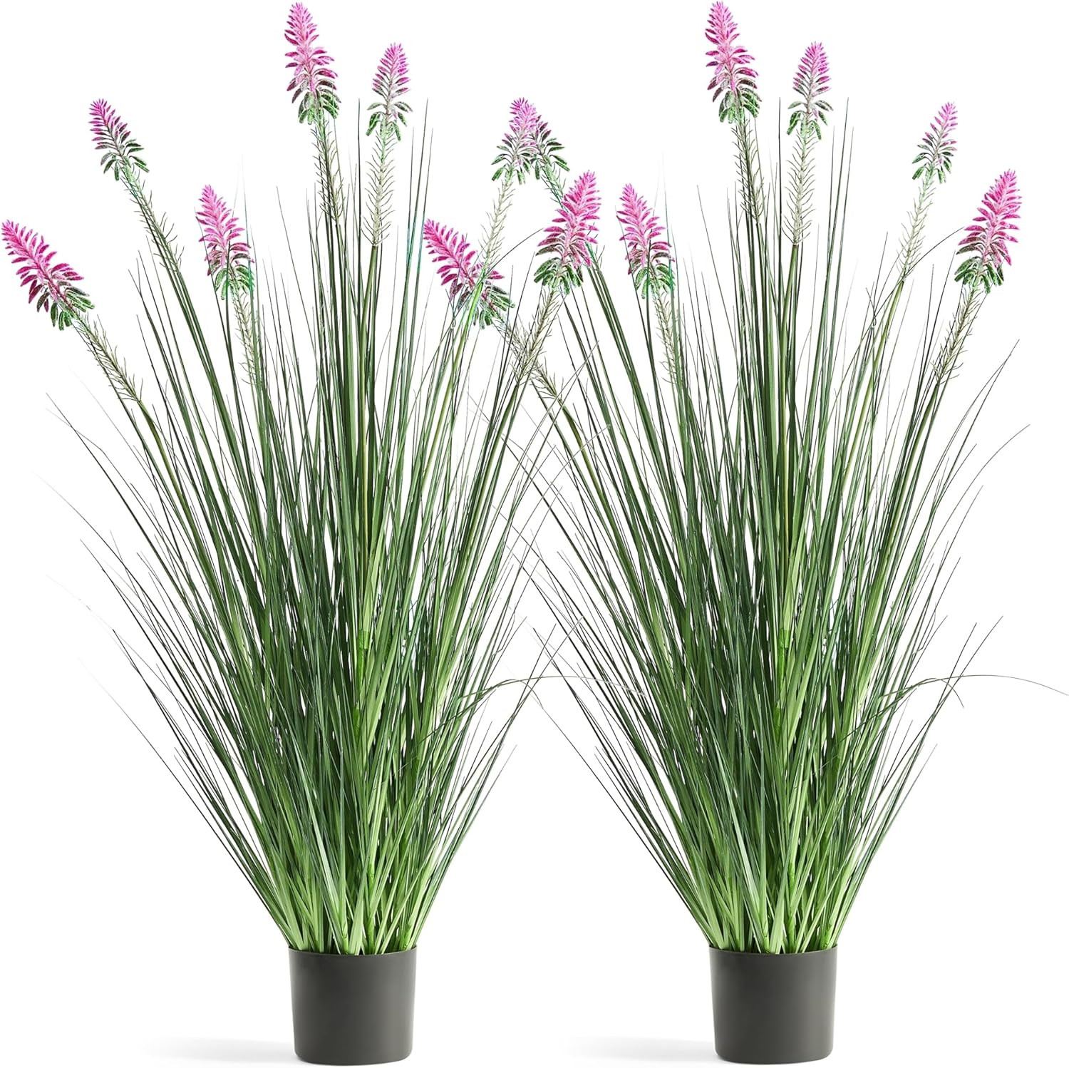 4Ft 2-Pack Horsetail Reed Grass with Purple Cockscomb Flower, 48In Tall Indoor O