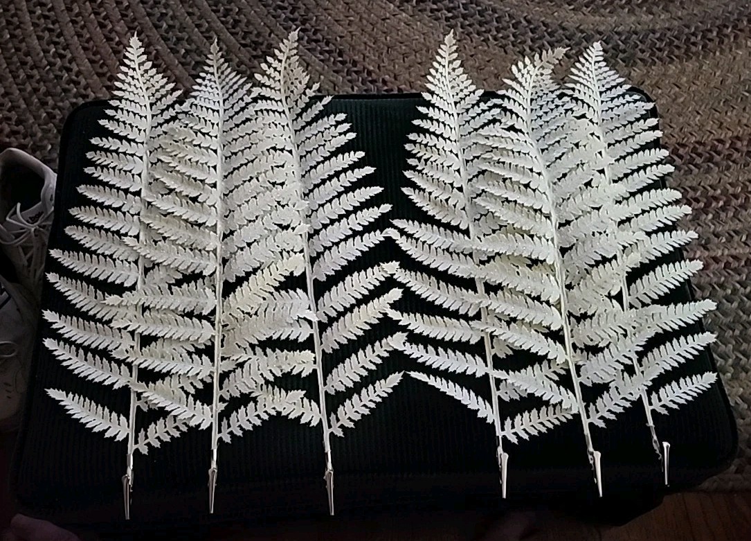 Artificial White Fern Leaves With Clips Lot Of 6 – 18″