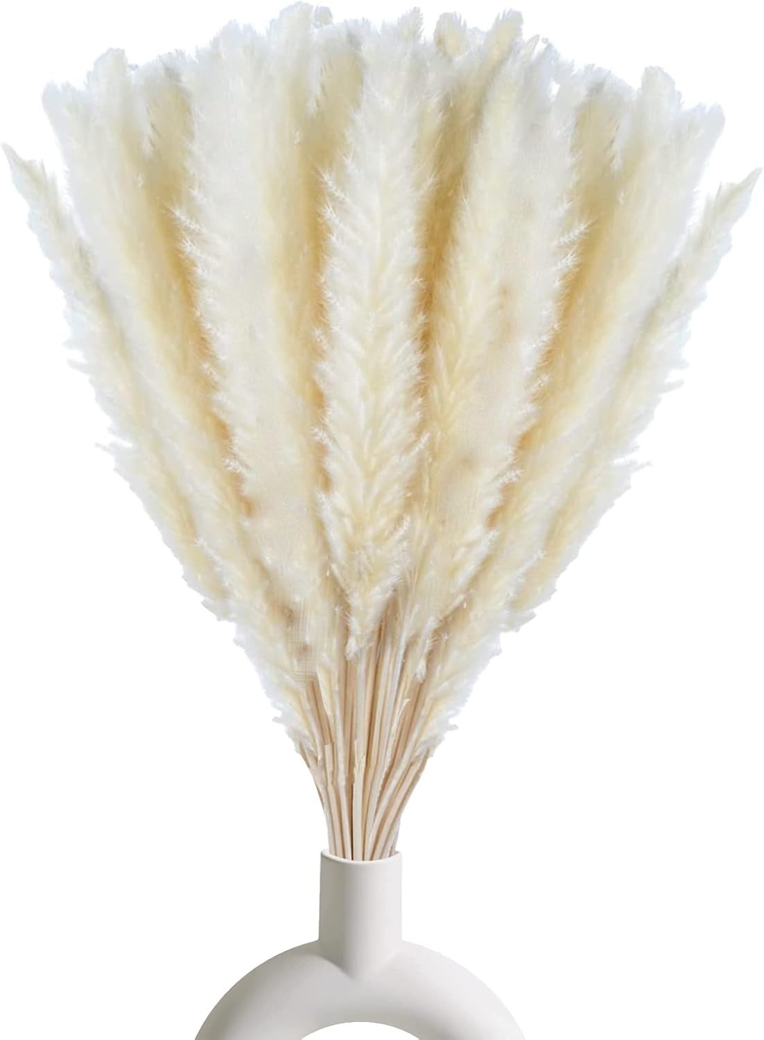 Elegant 30 Piece White Pampas Grass Set – 17 Inch Dried Decor for All Occasions