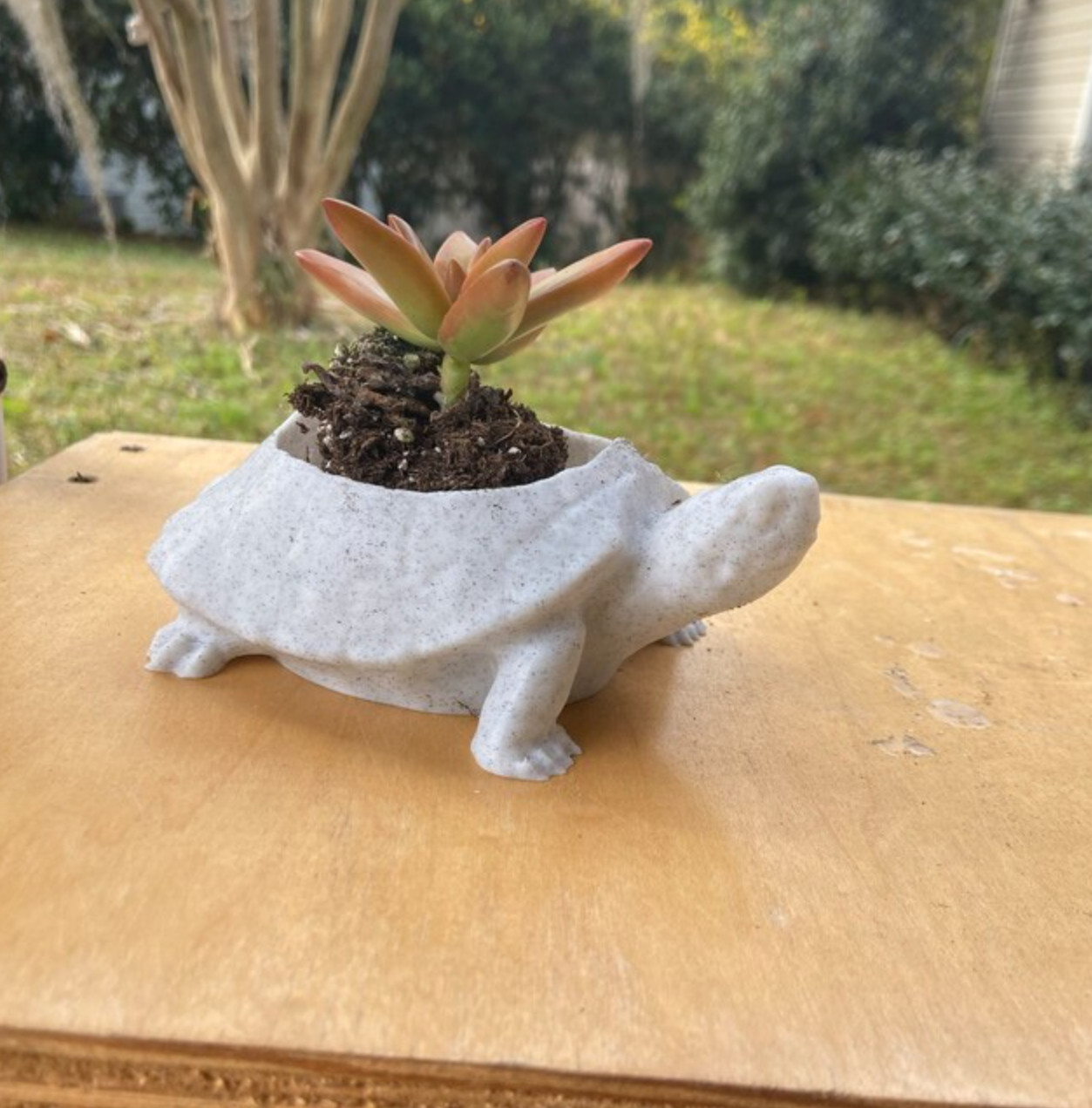 Cute White Turtle Planter – Succulent Plant Pot, Decorative Piece, Indoor Flower