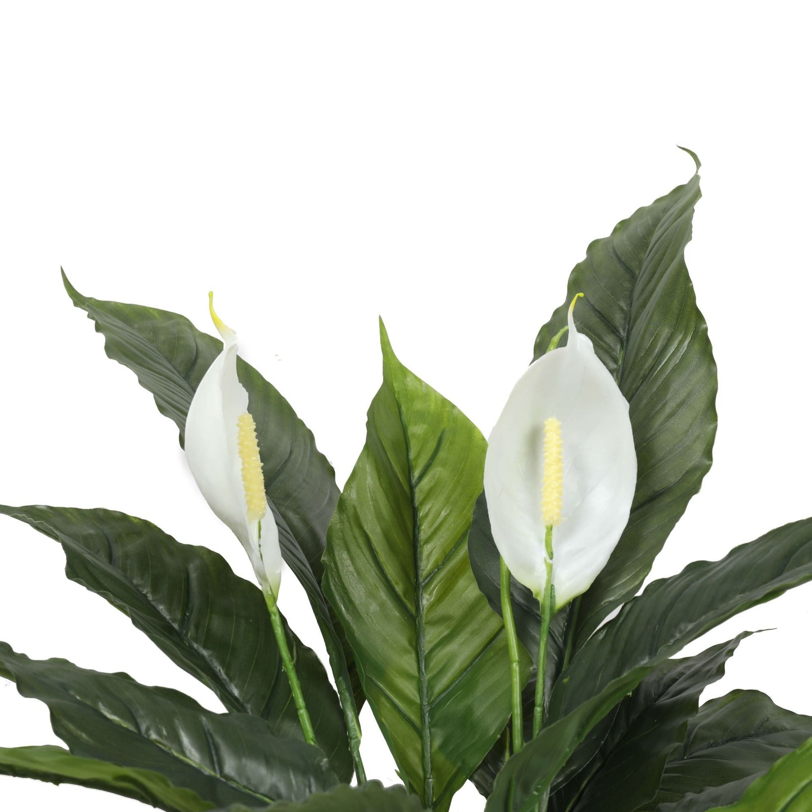 Artificial Spathiphyllum Peace Lily Plant With White Flowers 60cm