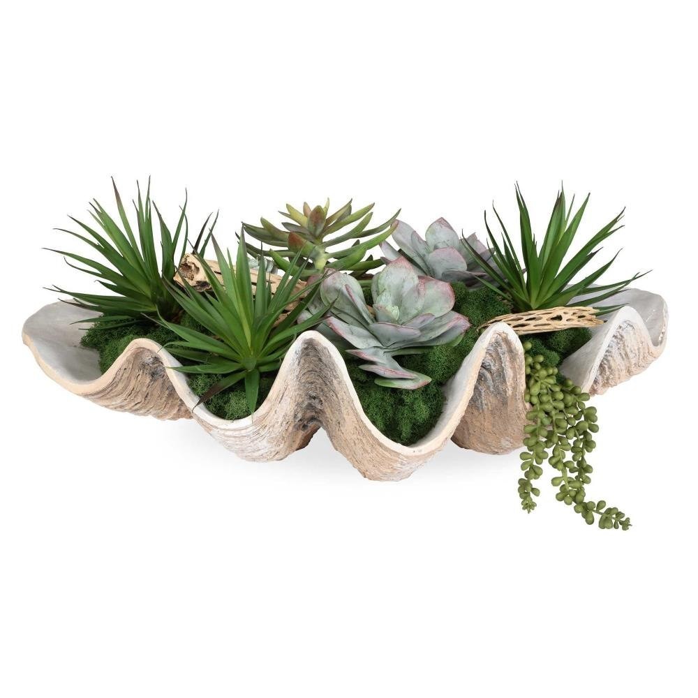 Succulents-10 Inches Tall and 23 Inches Wide – 208-BEL-5273574 – Bailey Street
