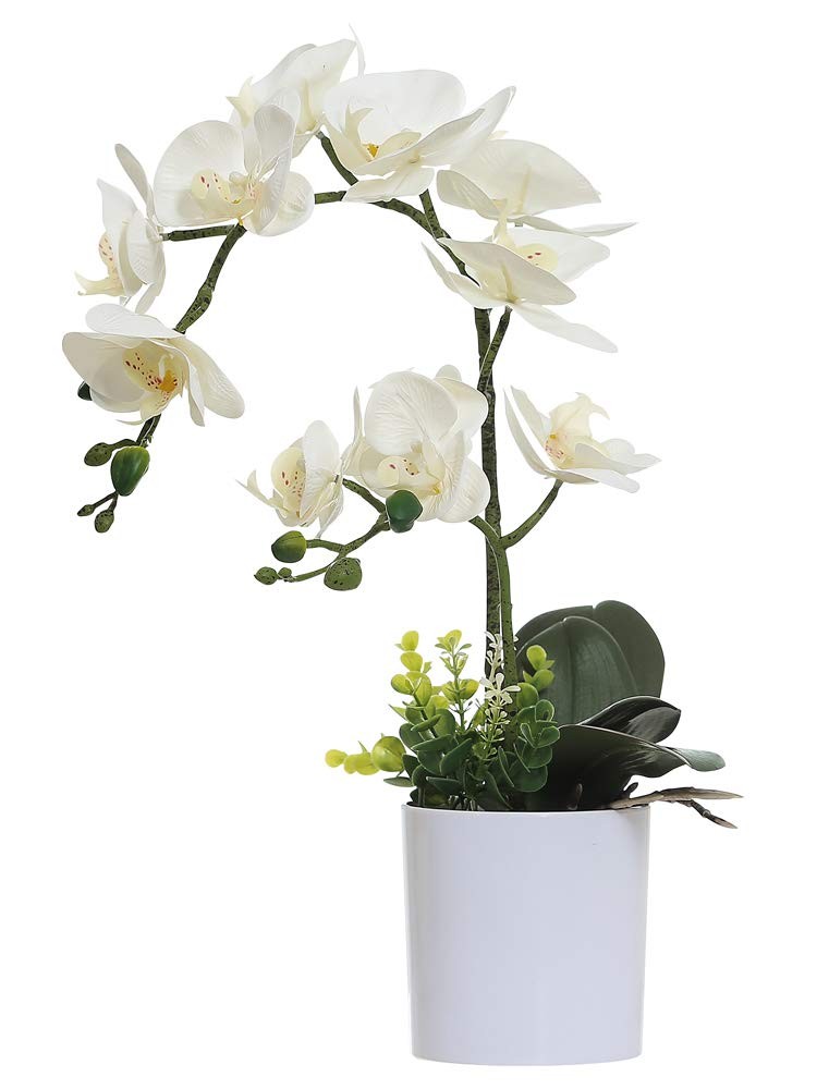Omygarden White Orchid Artificial Flowers in Pot, Fake Plastic Orchid Flowers, D