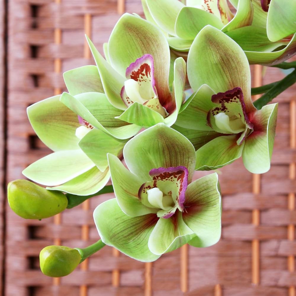 2 PCS 28.4 Inch Green Artificial Latex Phalaenopsis 3D Cymbidium Orchids