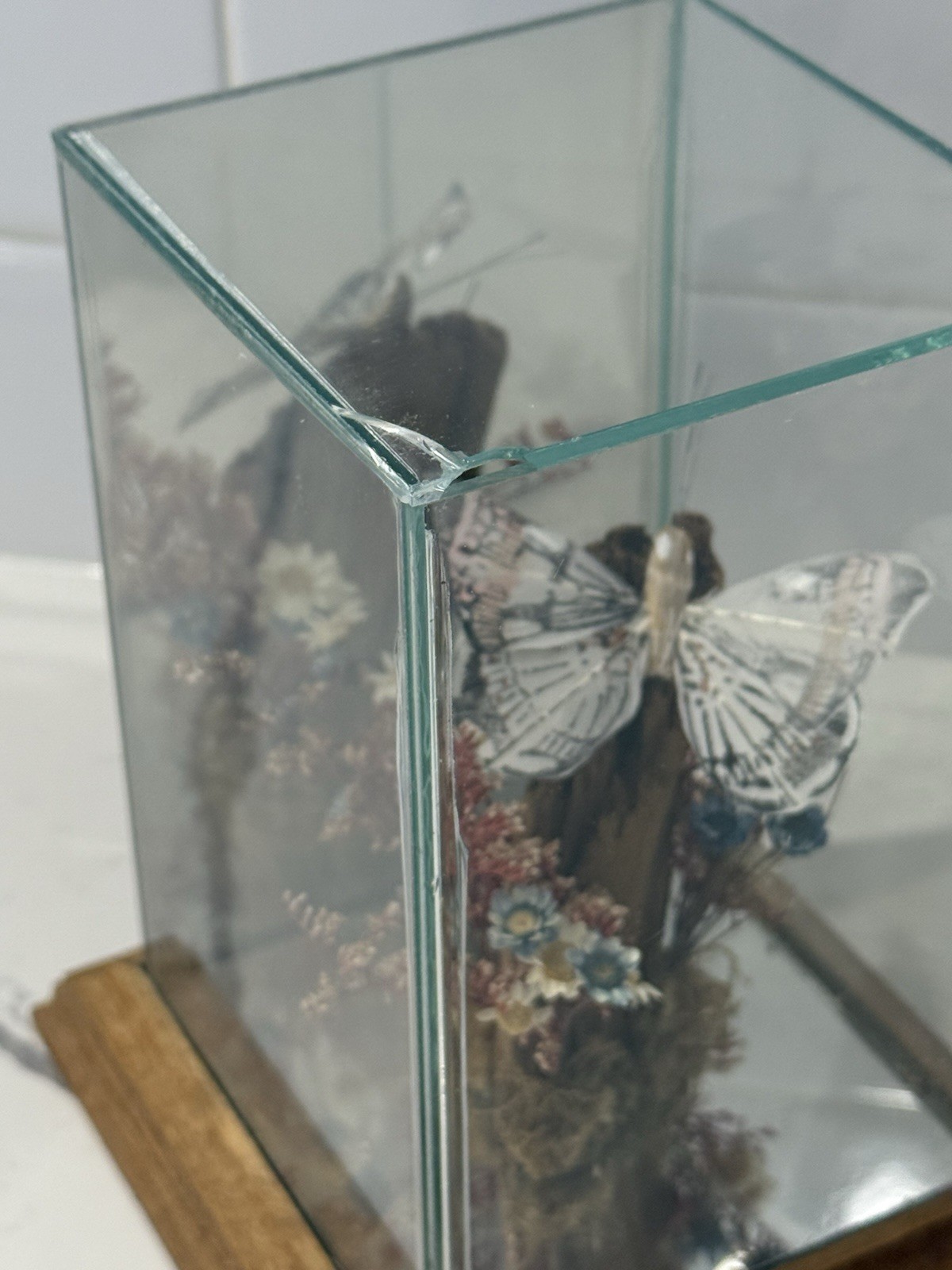 Glass Display Terrarium Butterfly (Faux) Dried Florals Wood Base CottageCore