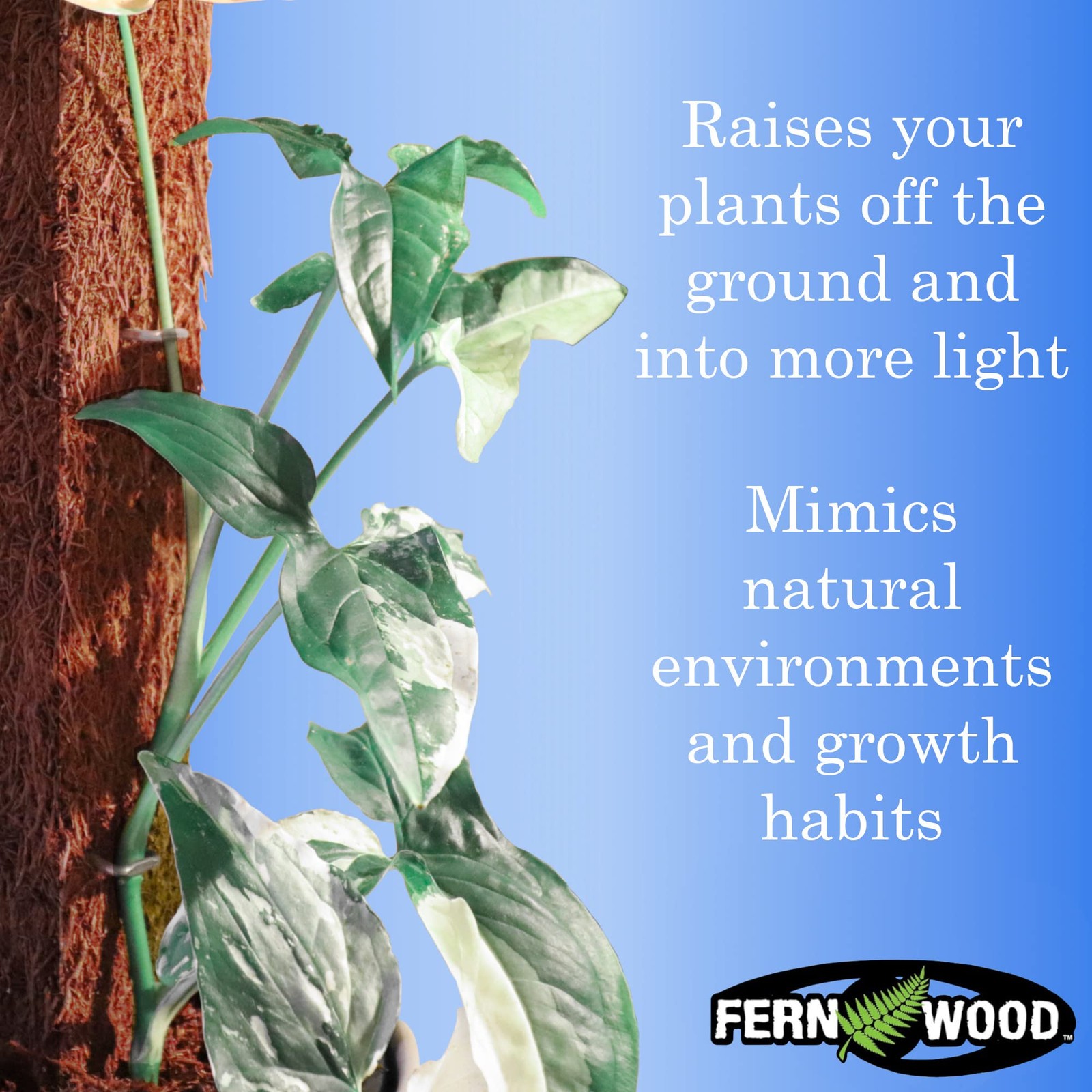 Tree Fern Totem Board- for Orchids, Aroids, and Other Climbing Plants | Soft,…