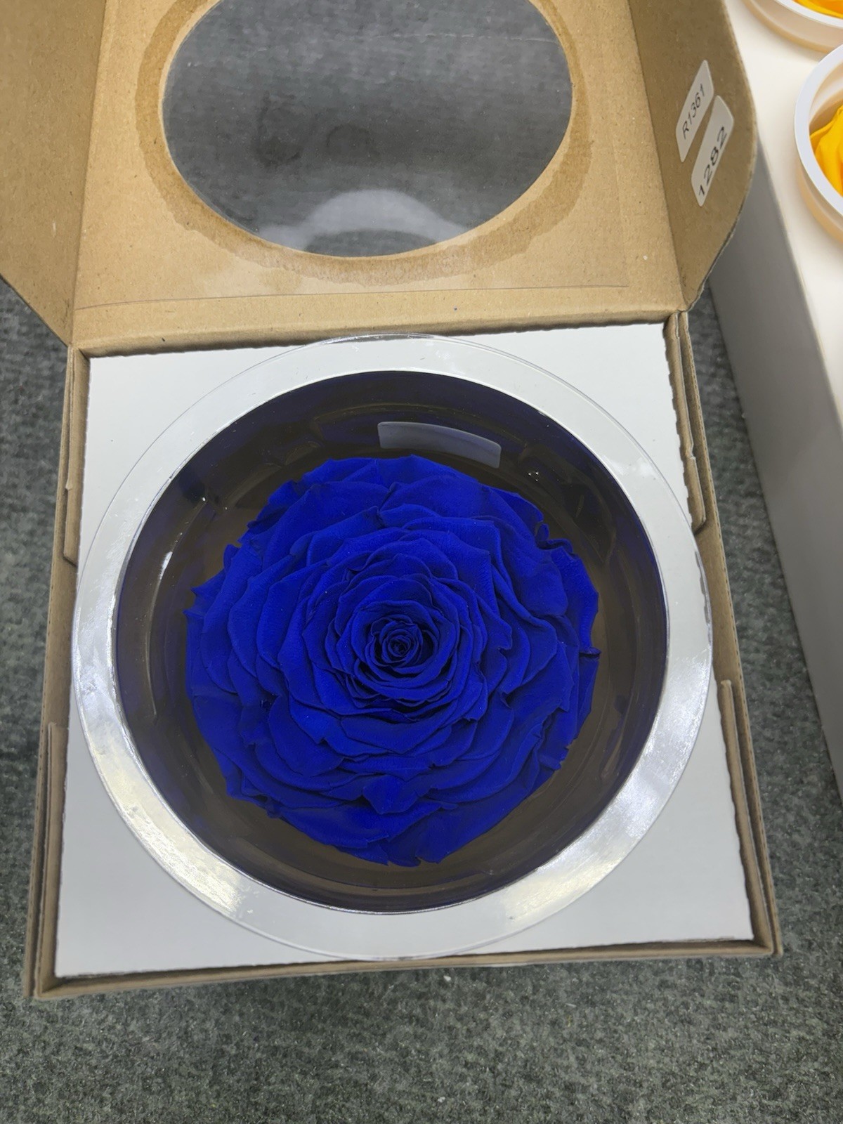 Eternal Roses Bulk 10 Packs of 6