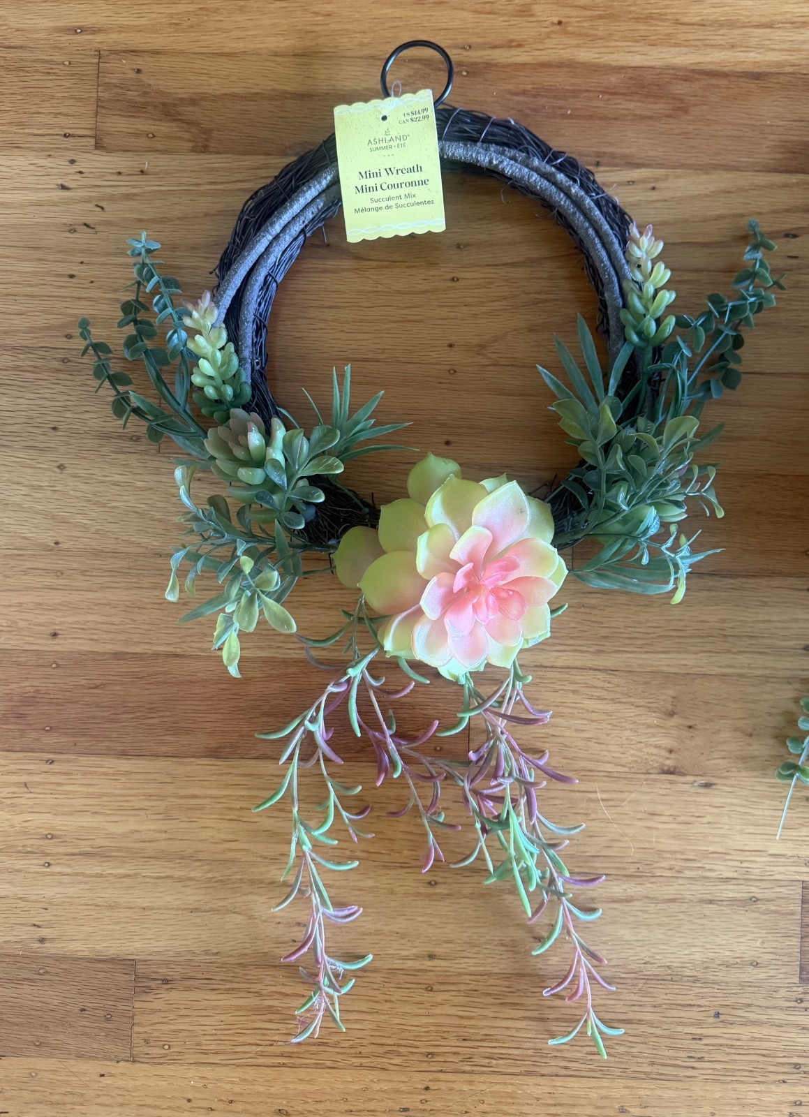 TWO (2) NWT Wreaths of Succulents and branches – ASHLAND brand (Michael’s)