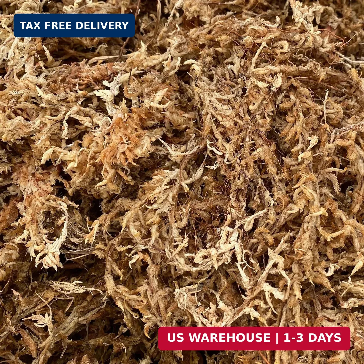 Better-Gro Sphagnum Moss – 100% Natural, Long-Fiber Moss for Orchids, Ferns, and