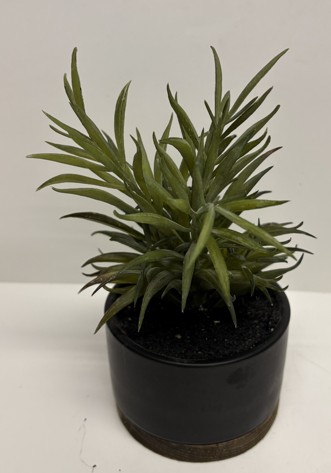 Threshold Potted Faux Succulent Plant Indoor Plant Porch Decor