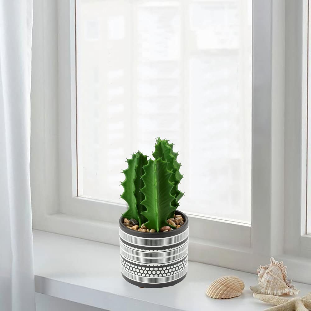 Artificial Cactus Plant Realistic Mini Faux Succulents in Pots Black Ceramic …