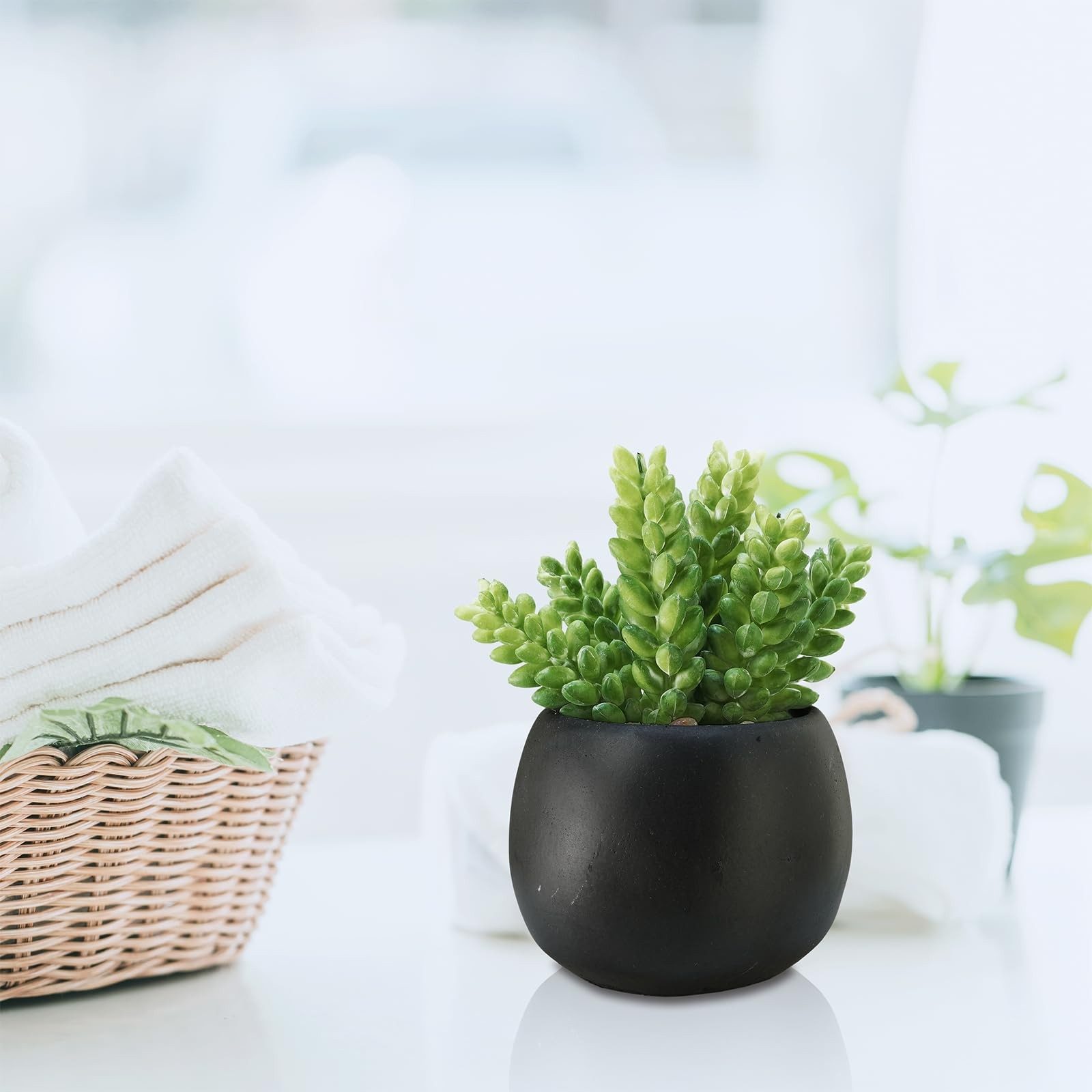 Set of 3 Artificial Succulents Plants in Black Cement Planters Faux Potted Pl…