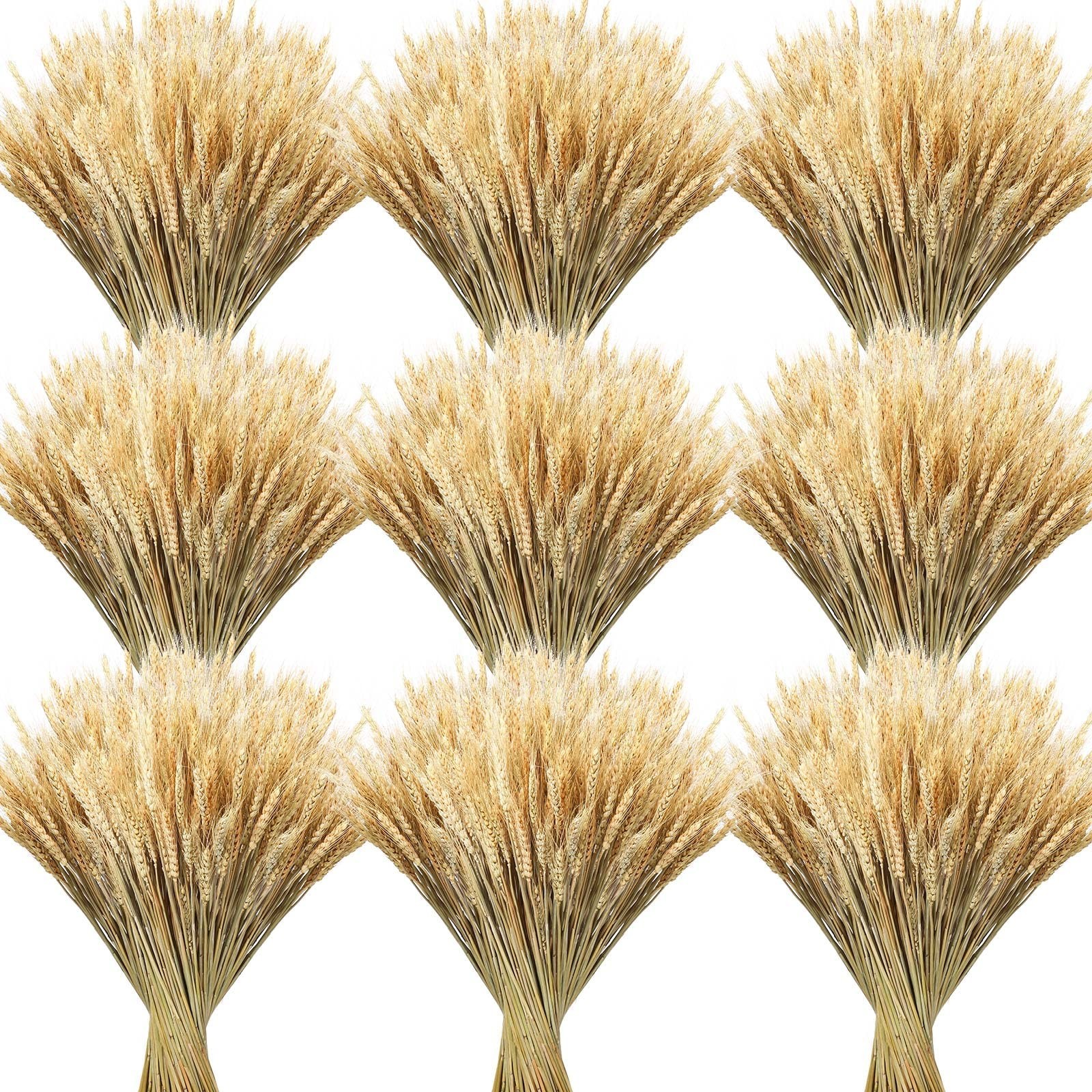 600 Stems Dried Wheat Stalks Bundle – Natural Wheat Grass for DIY Decor, Centerp