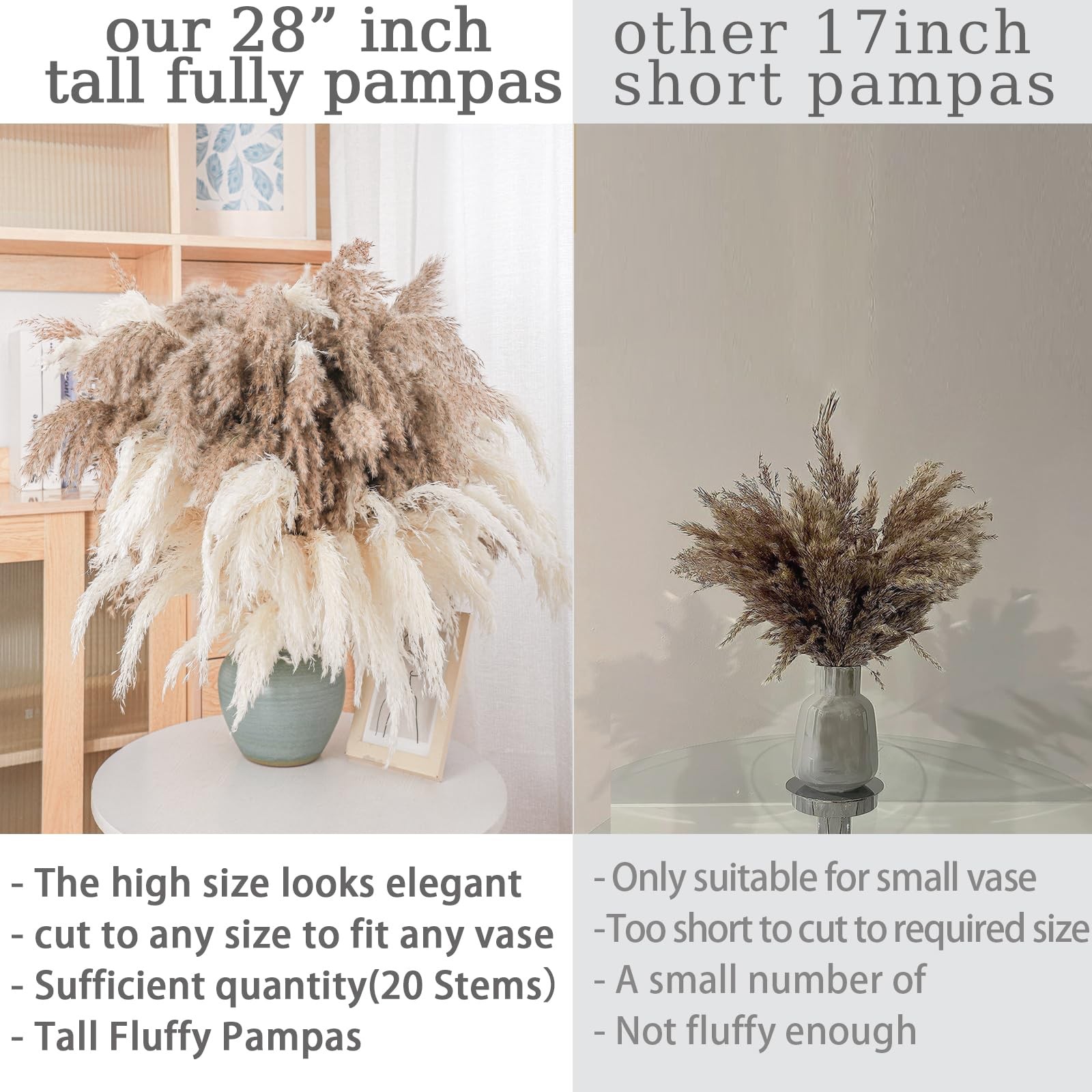 28″ inch 20 Stems Large Pampas 20pcs 10brown & 10white, 10 Brown & 10 White