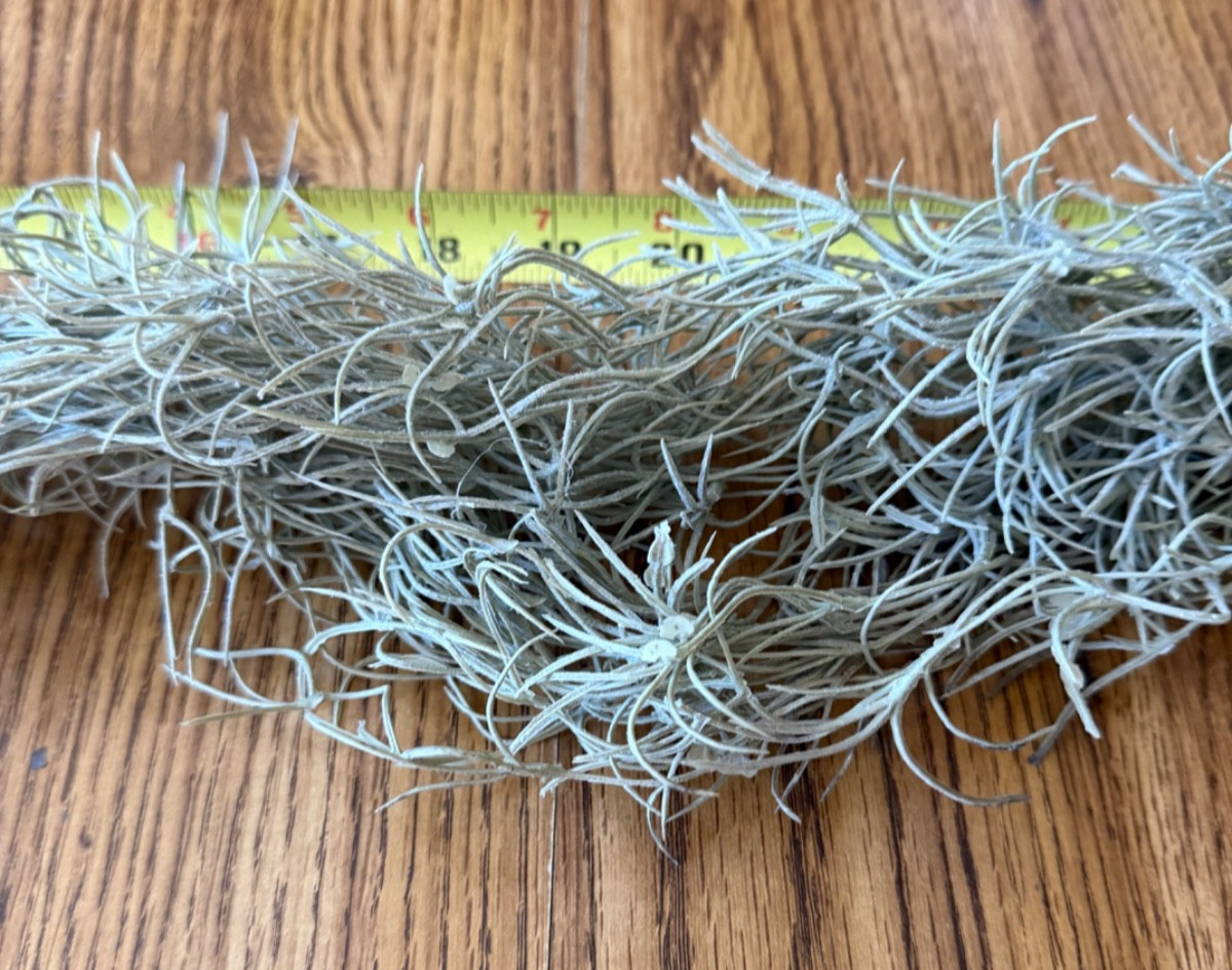Dried Spanish Moss – potted plant filler, fairy gardens, crafts 26” long – NEW