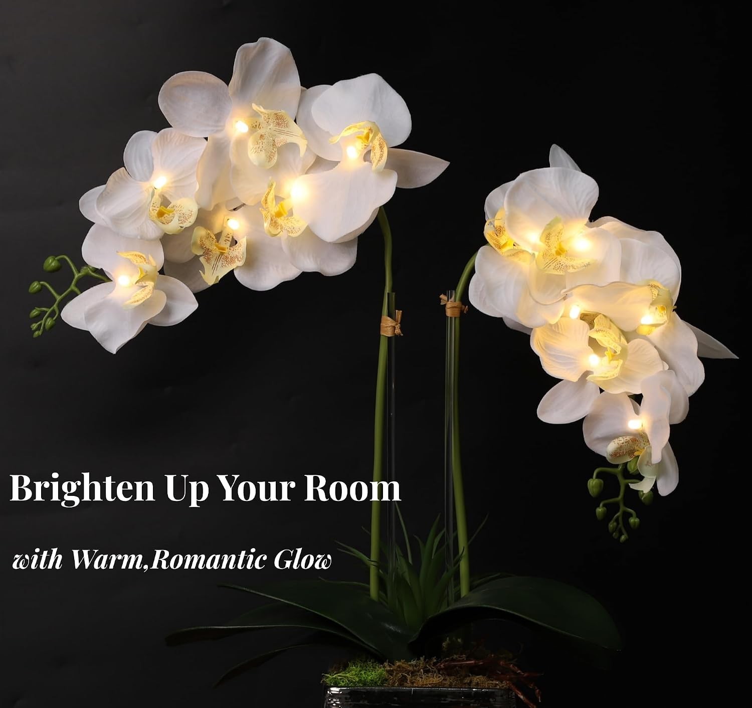 Pre Lit Artificial Orchid – Light Up Flower